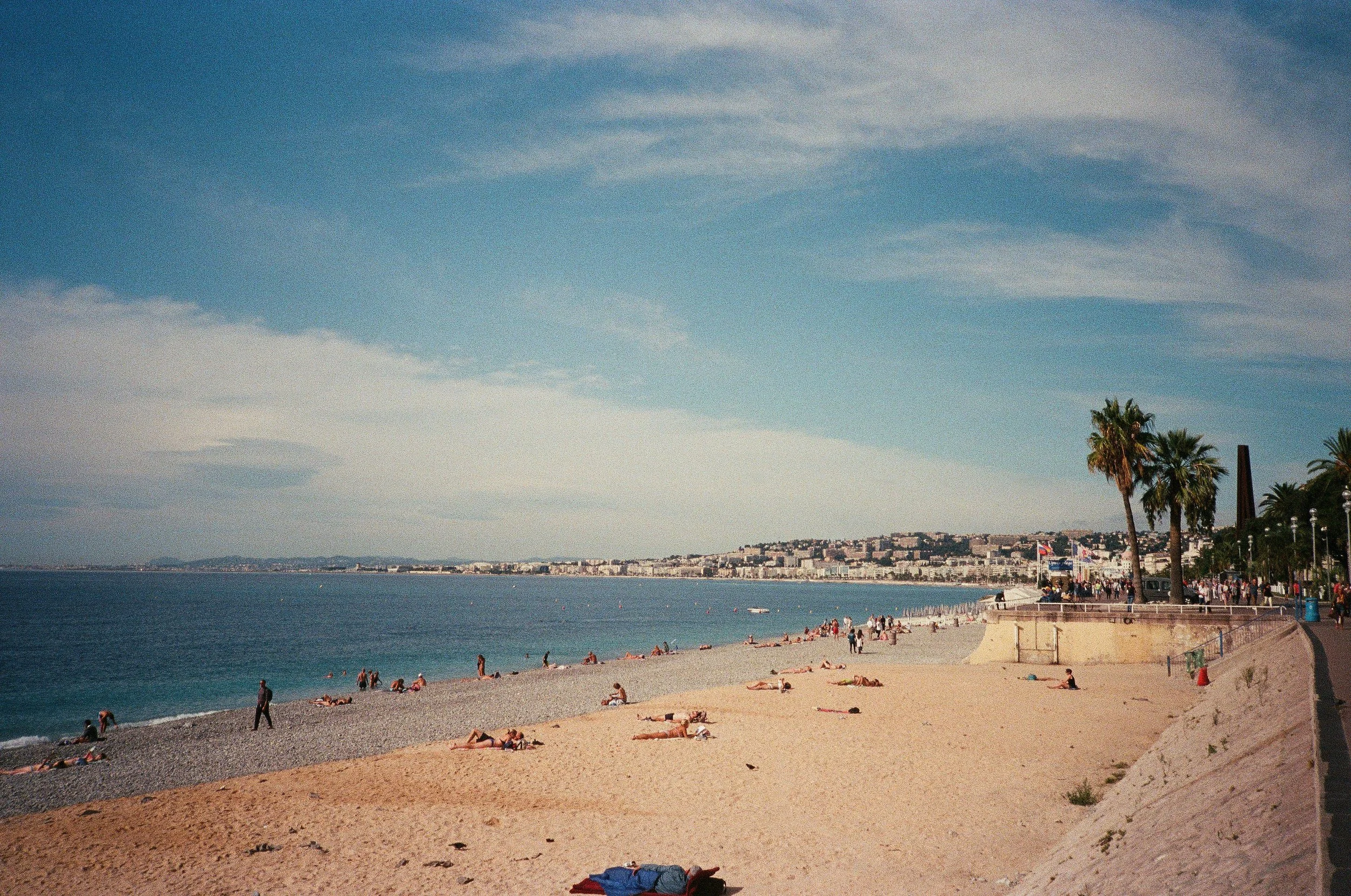 Beach in Nice, France with sunbathers, palm trees, and city skyline in the background