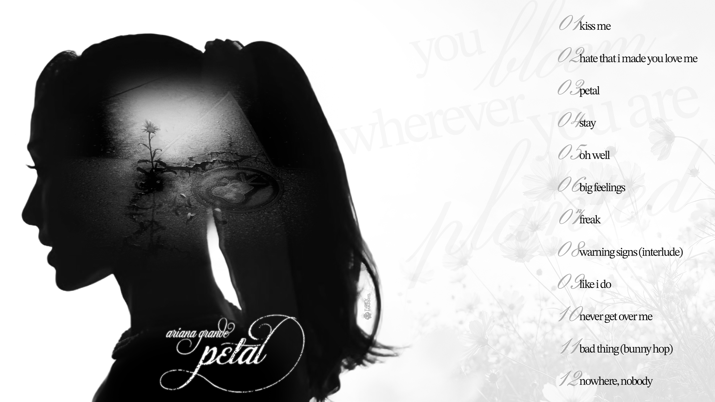 Ariana Grande | petal