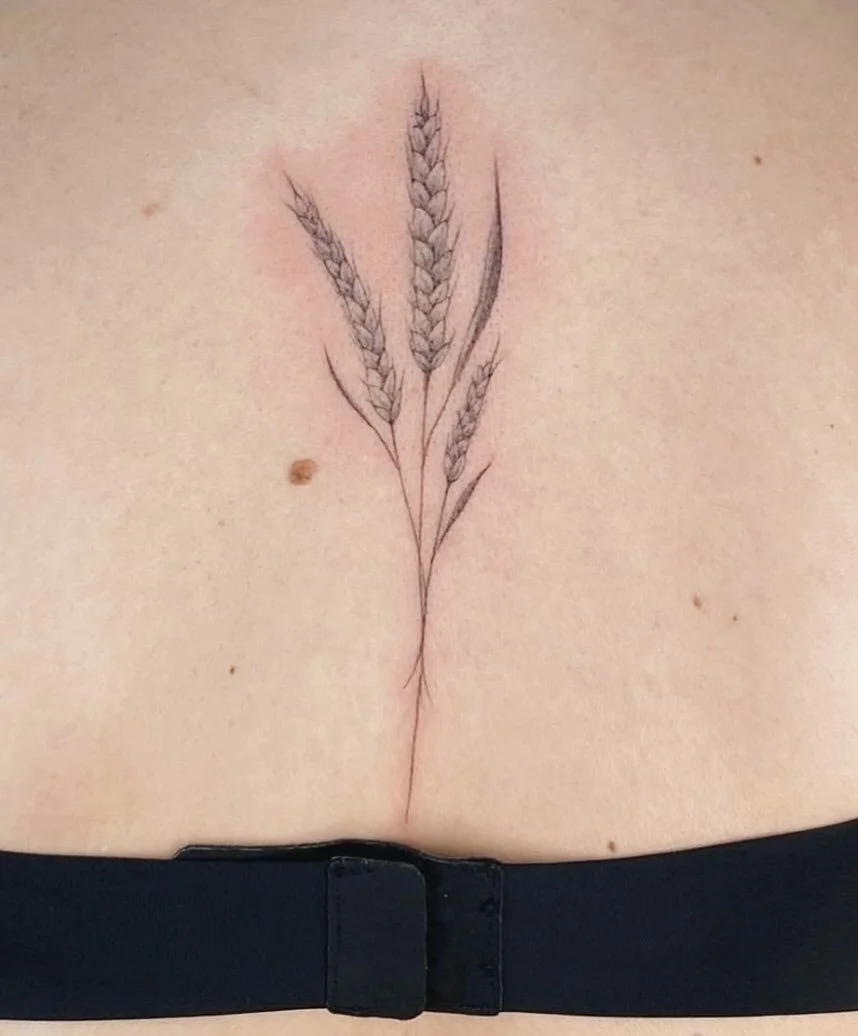 Wheat 🌾 spine.