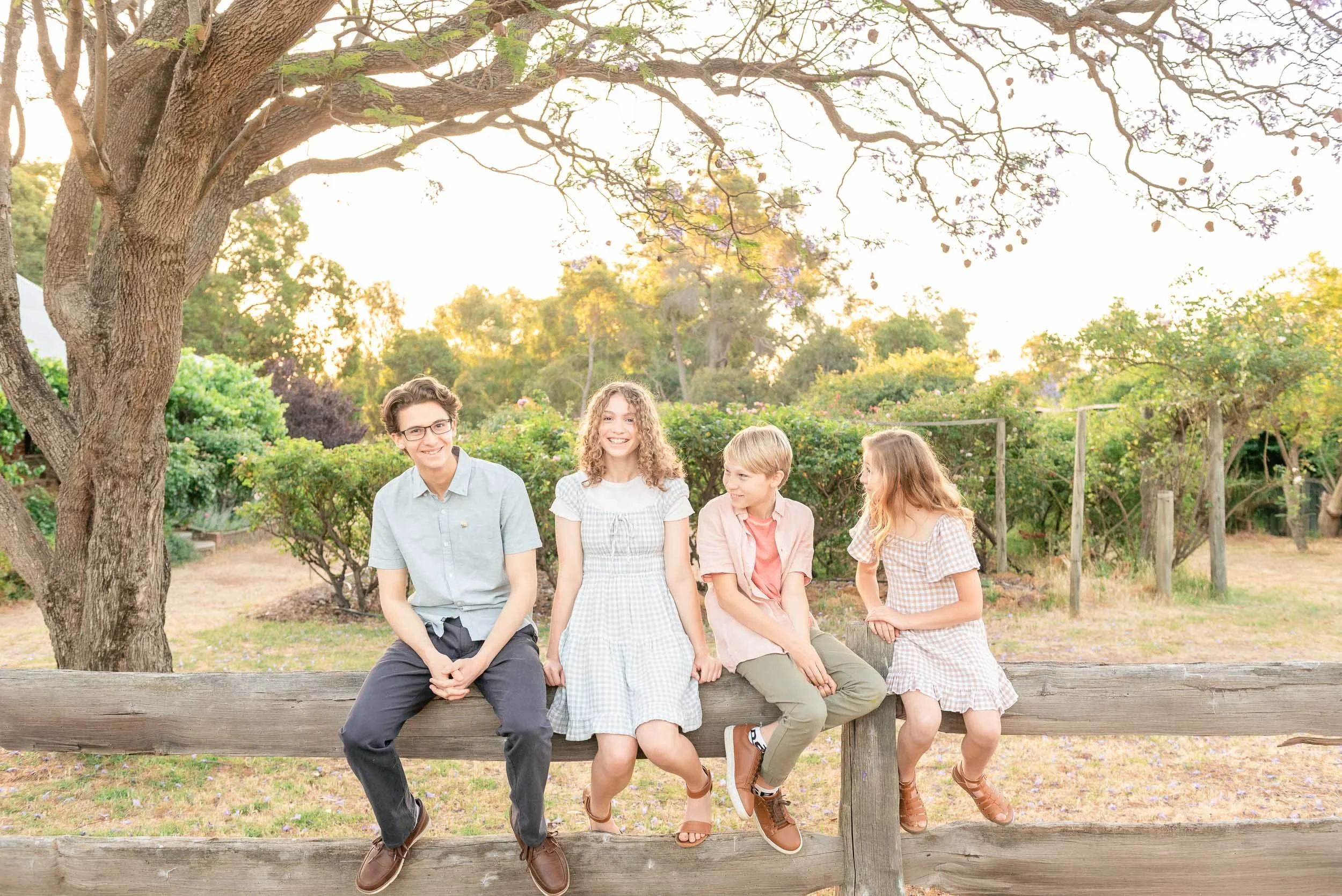 Four children sitting on a wooden fence under a large tree in a park during sunset, smiling and talking.