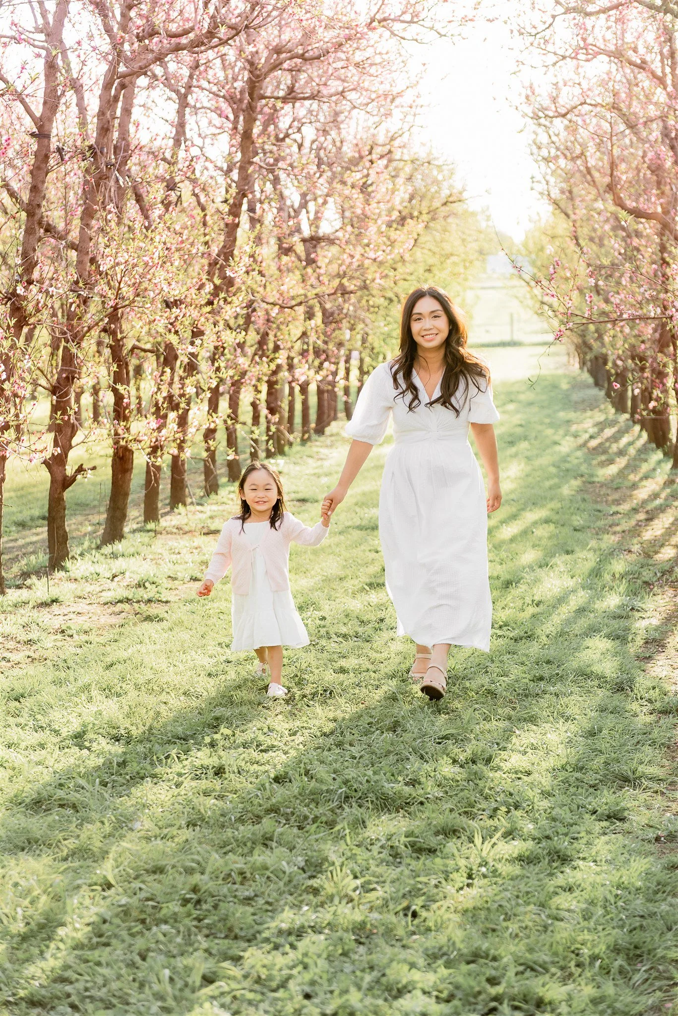 A woman and a young girl, possibly mother and daughter, walking hand-in-hand through a lush, green orchard with blooming pink cherry blossom trees, sunlight filtering through the branches.