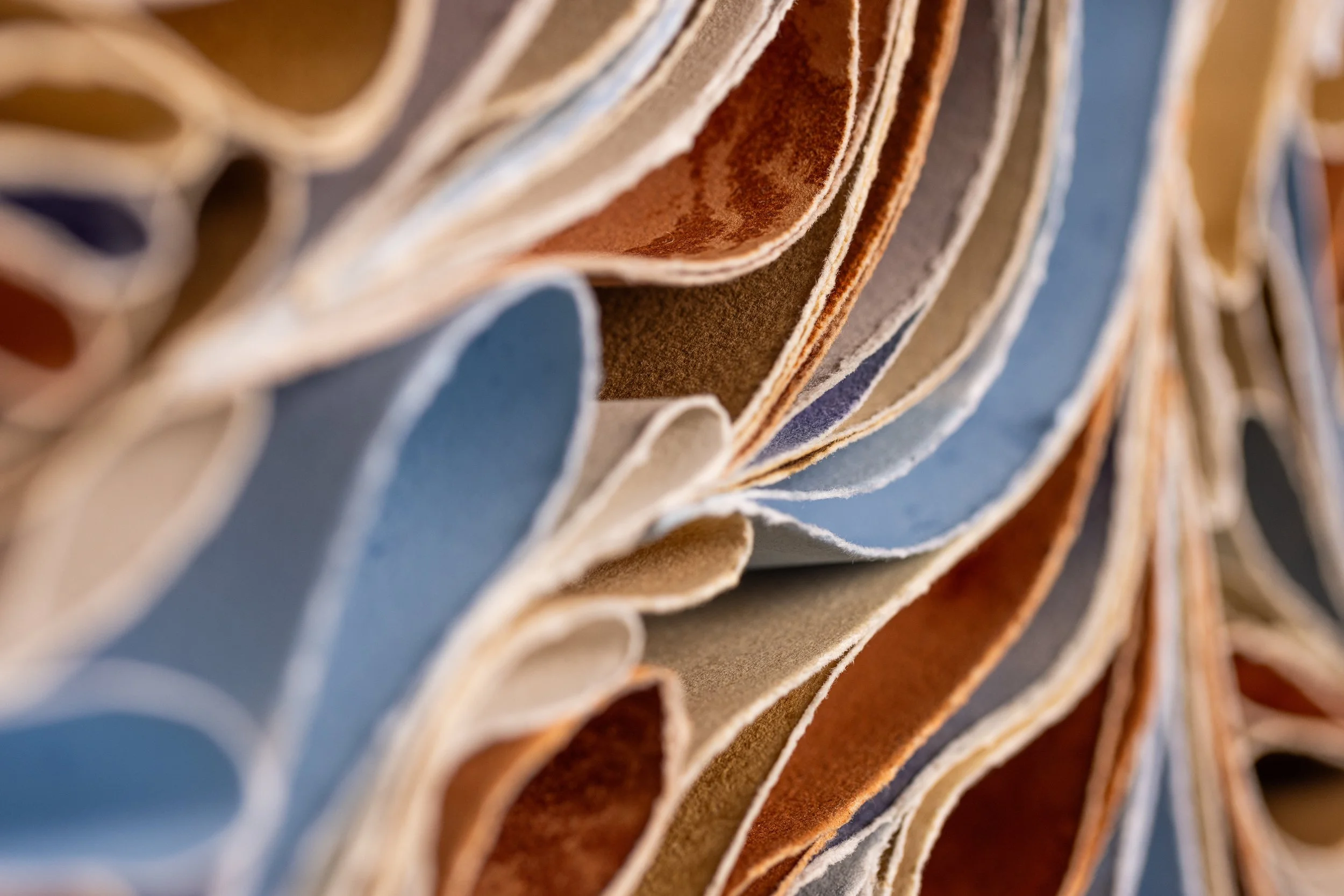 Ebb and Flow_Detail 3.jpg