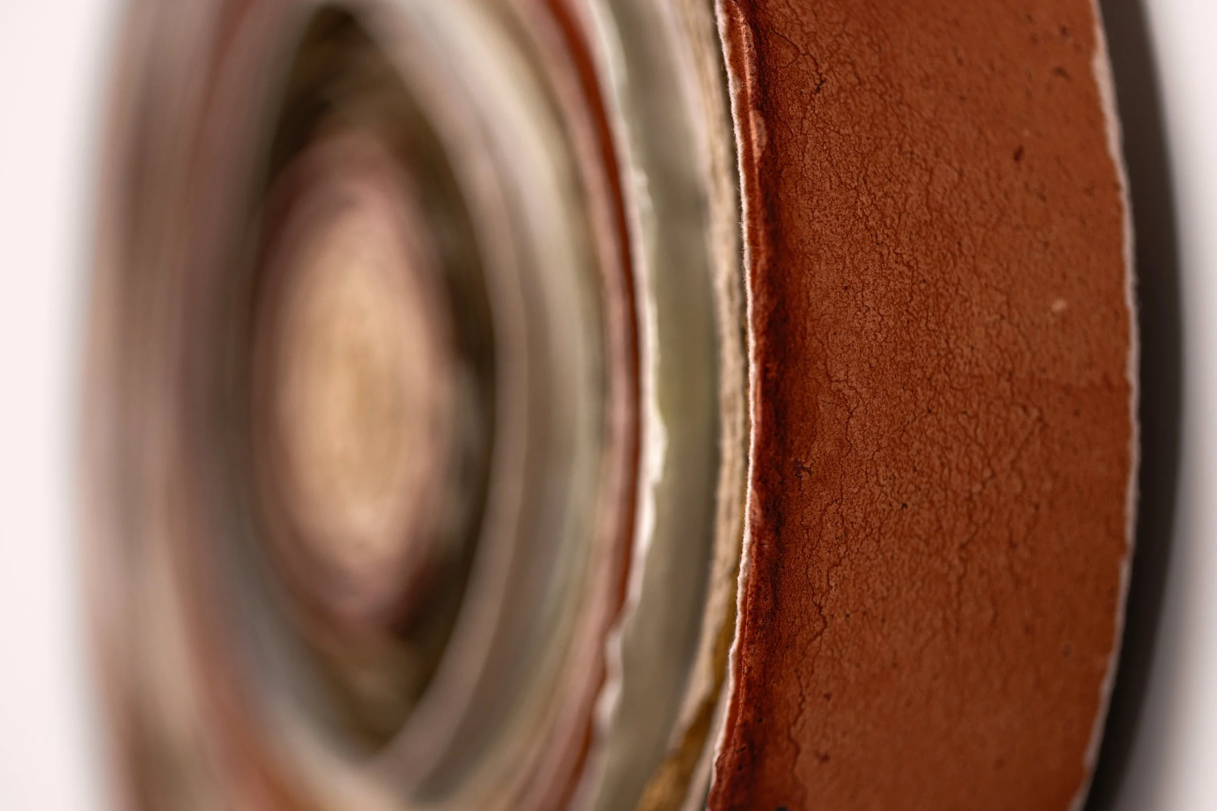 Lifespan #1_Detail 4.jpg