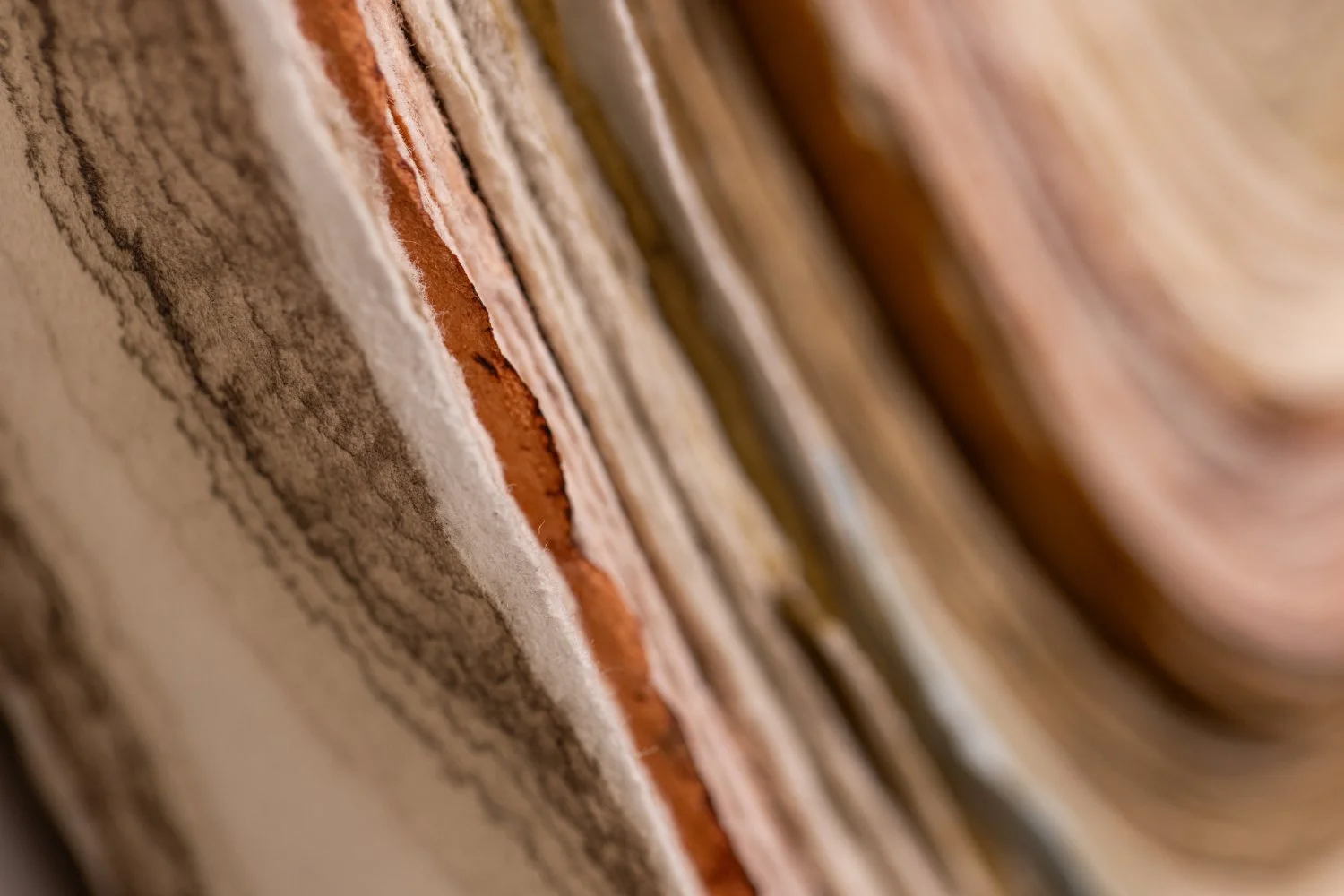 Lifespan #2_Detail 4.jpg