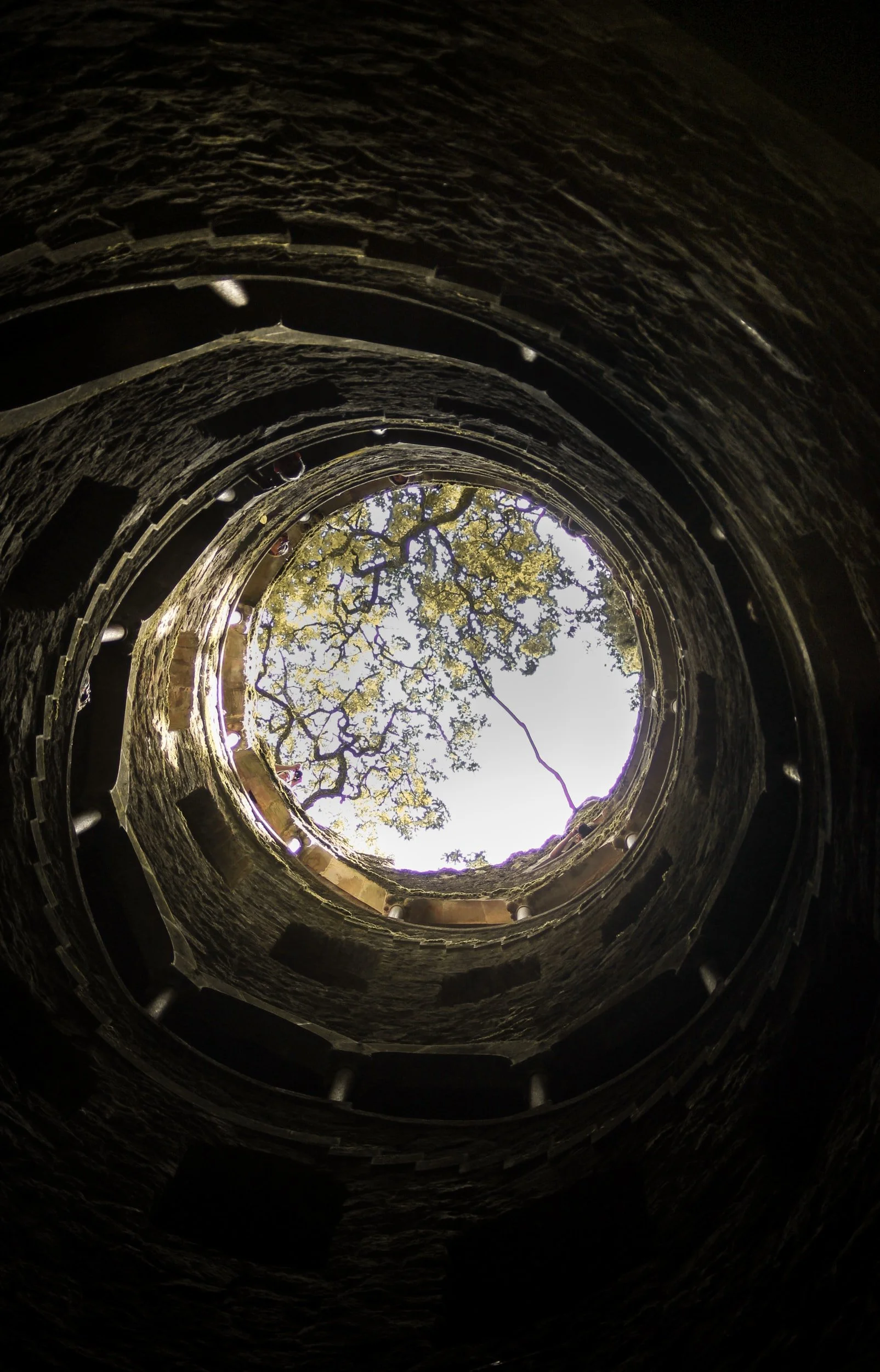 unsplash-image-SvPkiIAxXWc.jpg