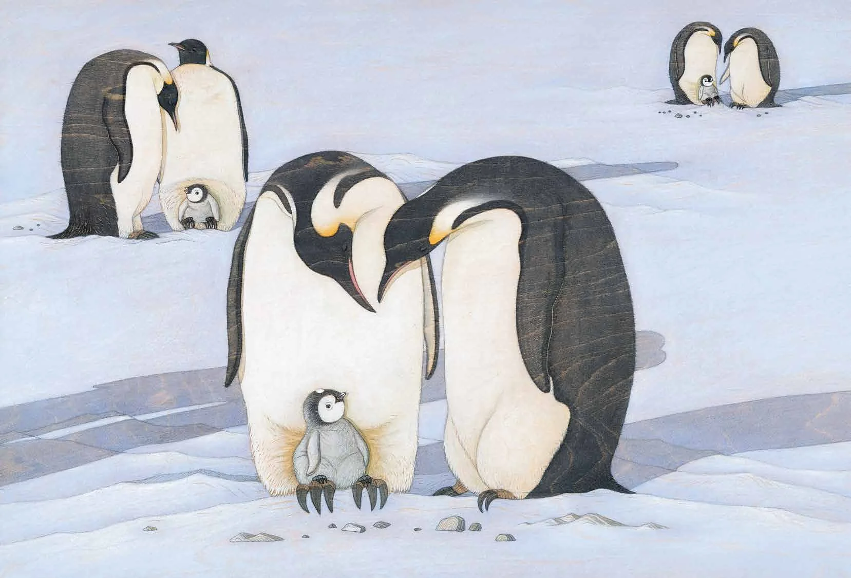 Penguin spread 1.jpeg