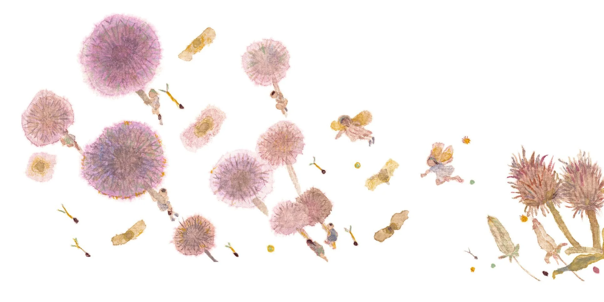 不能没有spread 2.jpeg