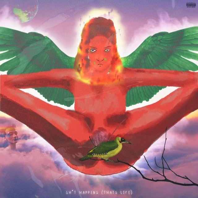 Sh*t Happens (That's Life)