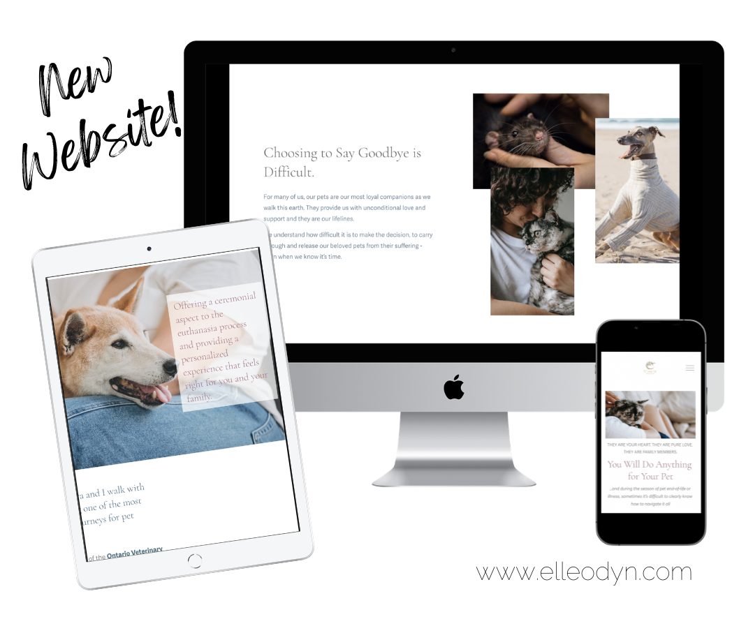 Laptop, ipad and cell phone with images from a website about mobile vet clinic, the Butterfly Vet.