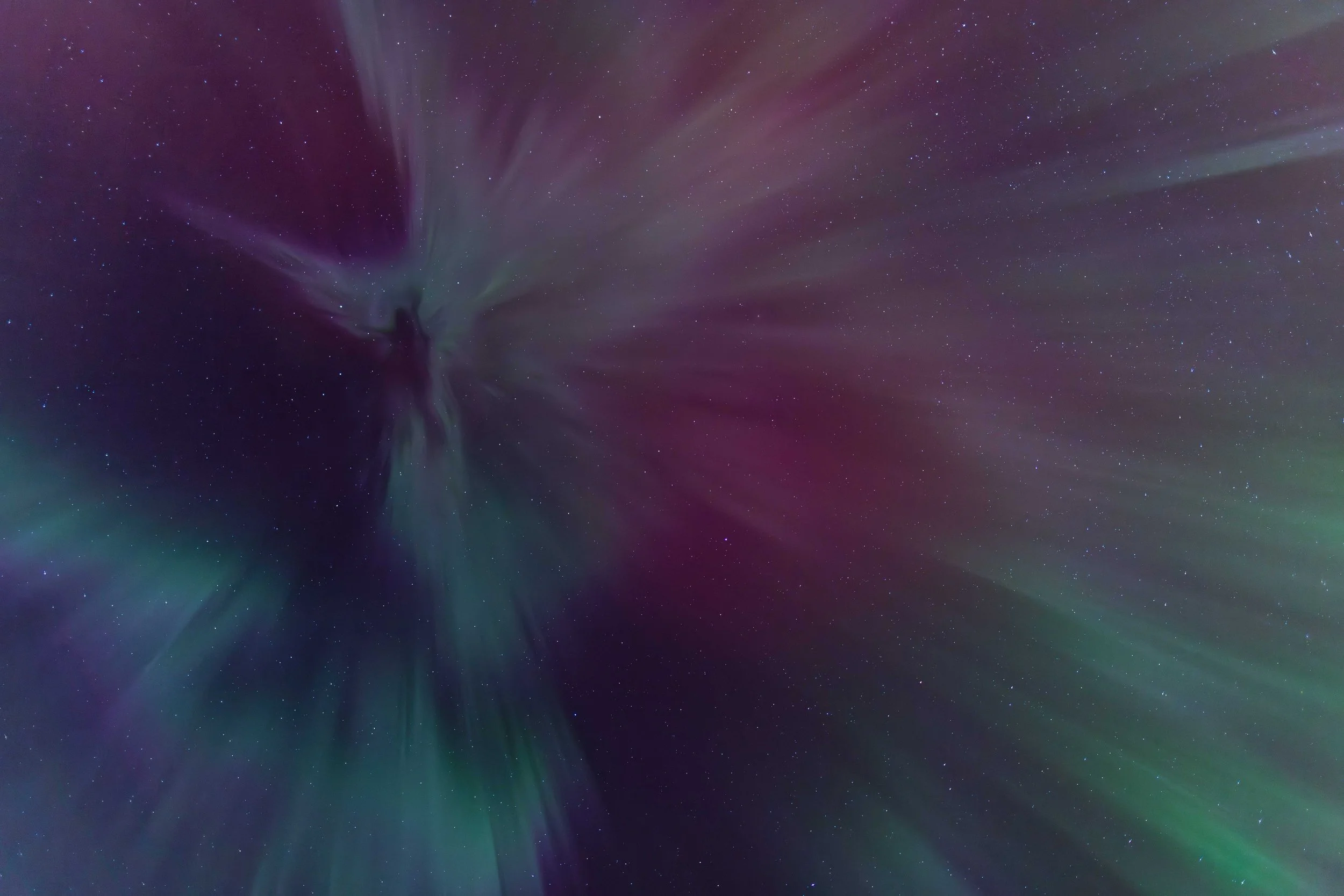Photo of Northern Lights corona with purples, greens and pinks taken by Elle Odyn at the forest garden.