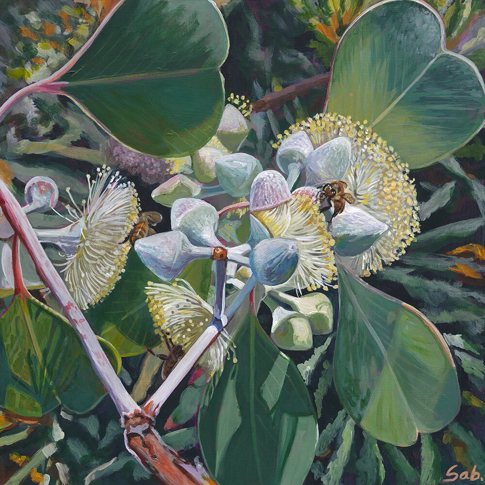 ACD4EC9F-A450-4579-8D9C-2114887DA3F5