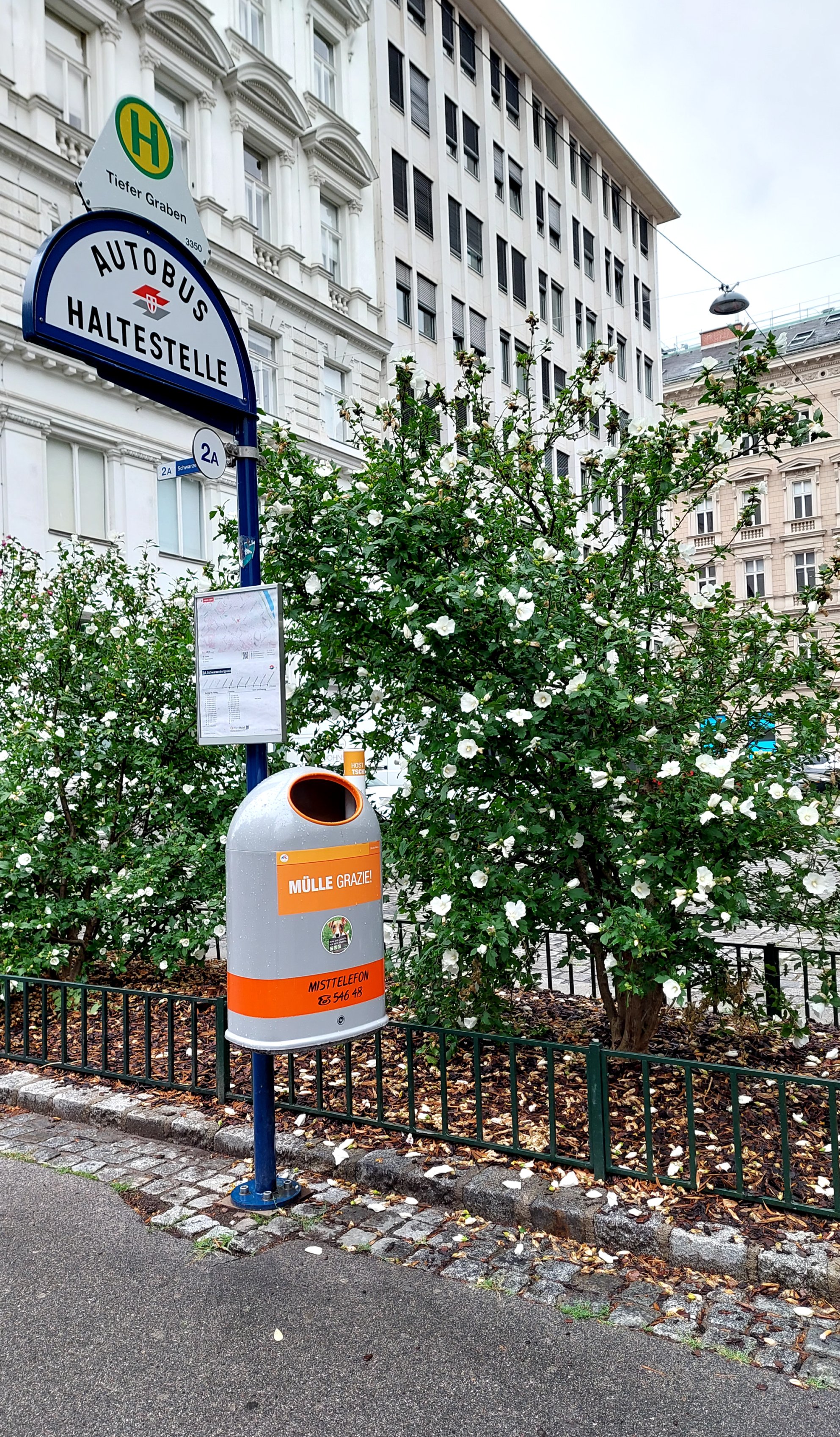 Why blind people in Vienna hate trashcans