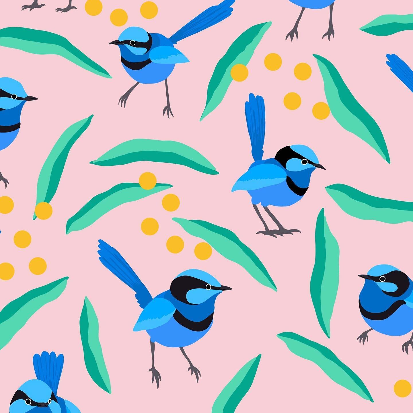 Sharing my design for the birding Spoonflower challenge! I loved drawing these splendid fairy wrens, wattle and gum leaves! Any challenge which includes birds I&rsquo;m down for 😂

[ID: a repeating pattern of bold, graphic splendid fairy wrens, surr