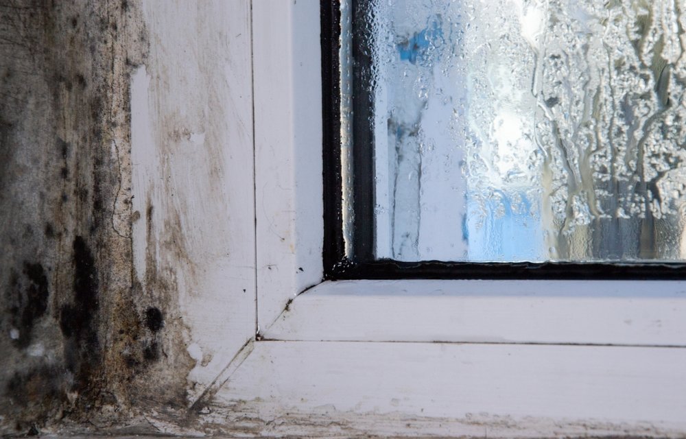Stop Me If You've Heard This One Before: MPs Discover (Again) That Renting Privately in England Can Be Grim and Nobody's Enforcing the Rules