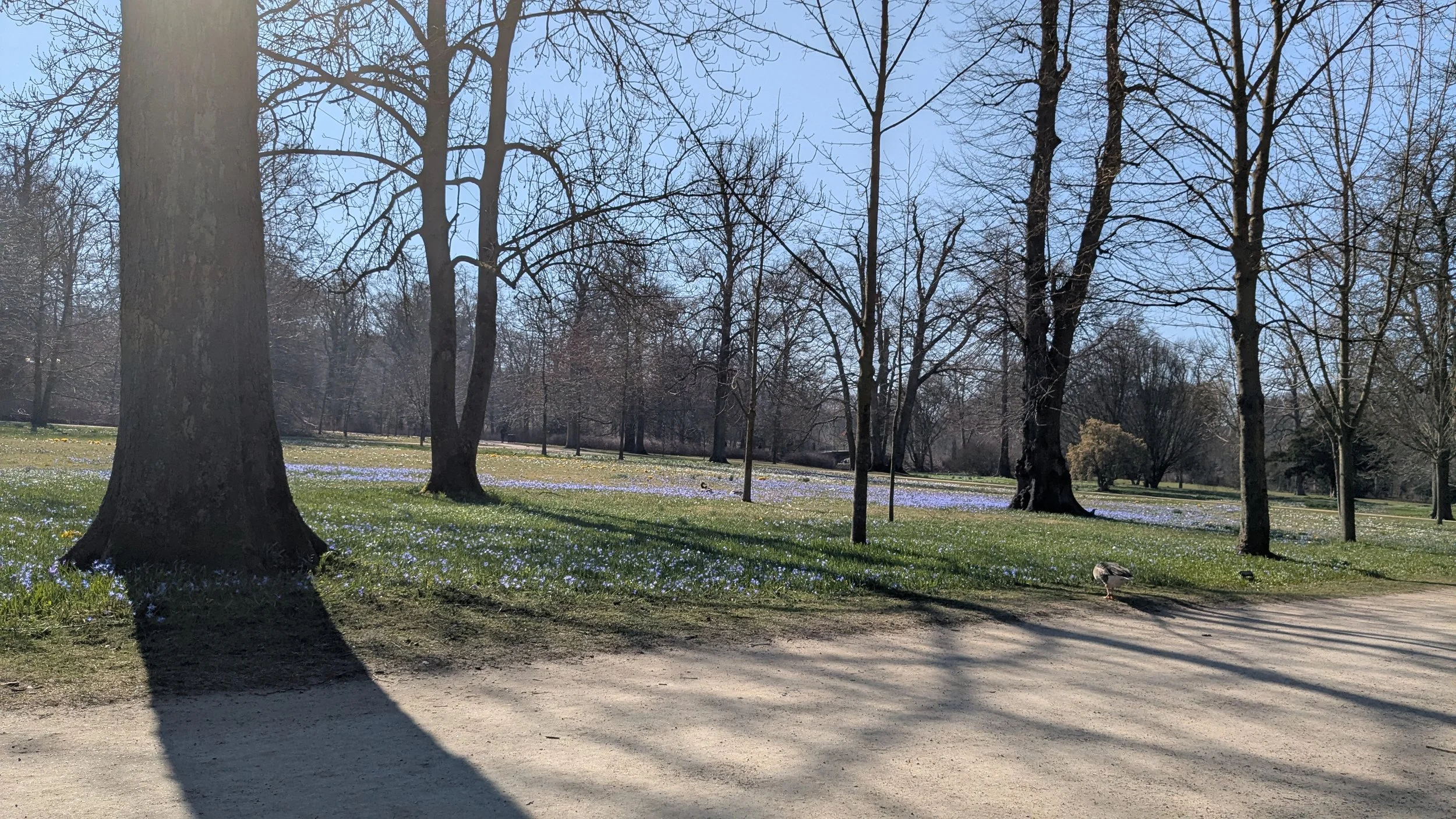 The weeks that were: Mar 1st-14th