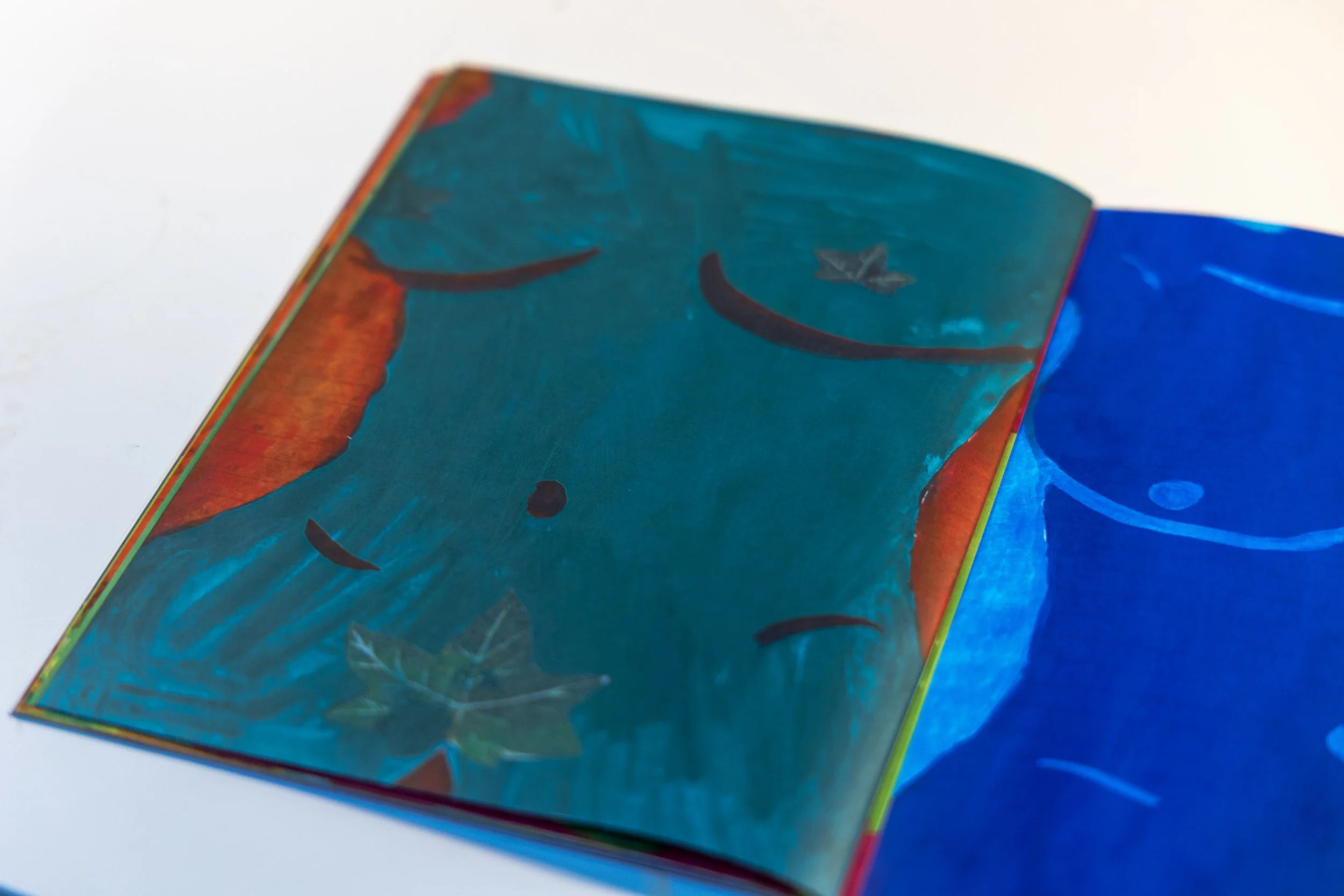 Open zine with colorful illustrations.