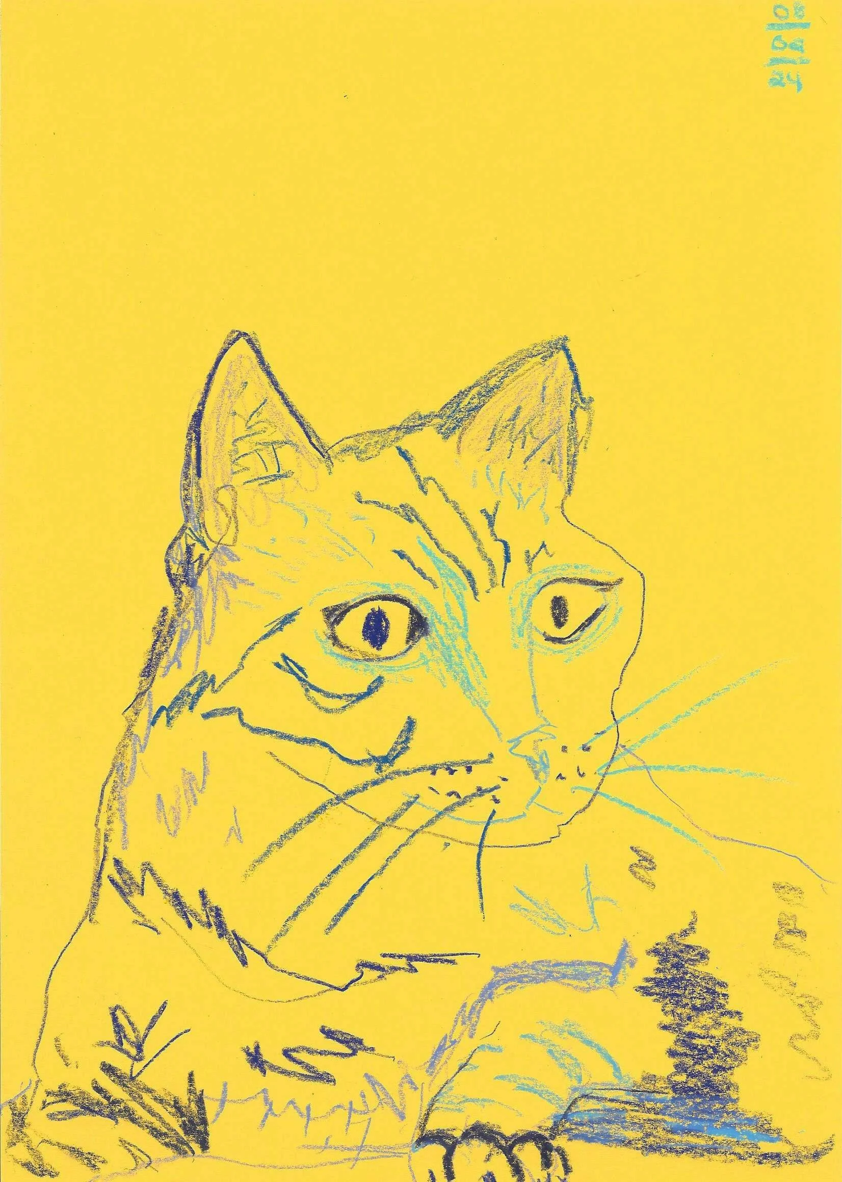 Yellow Cat.jpg