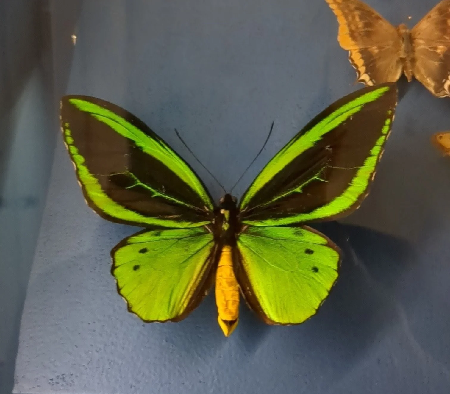 The week that was: Oct 26th - Nov 1st