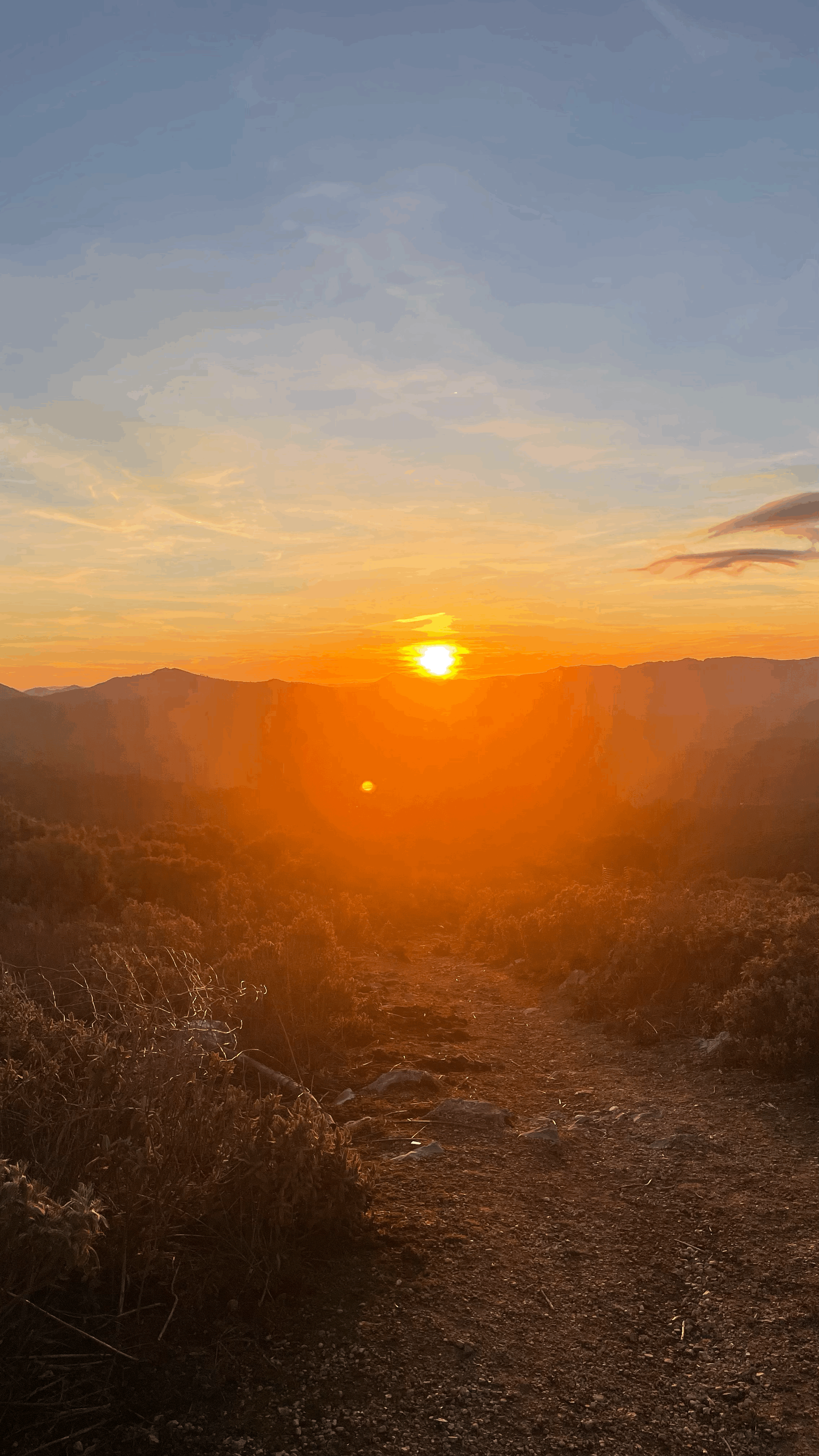 Known Each Other for 5 Weeks and Missed a Flight Home