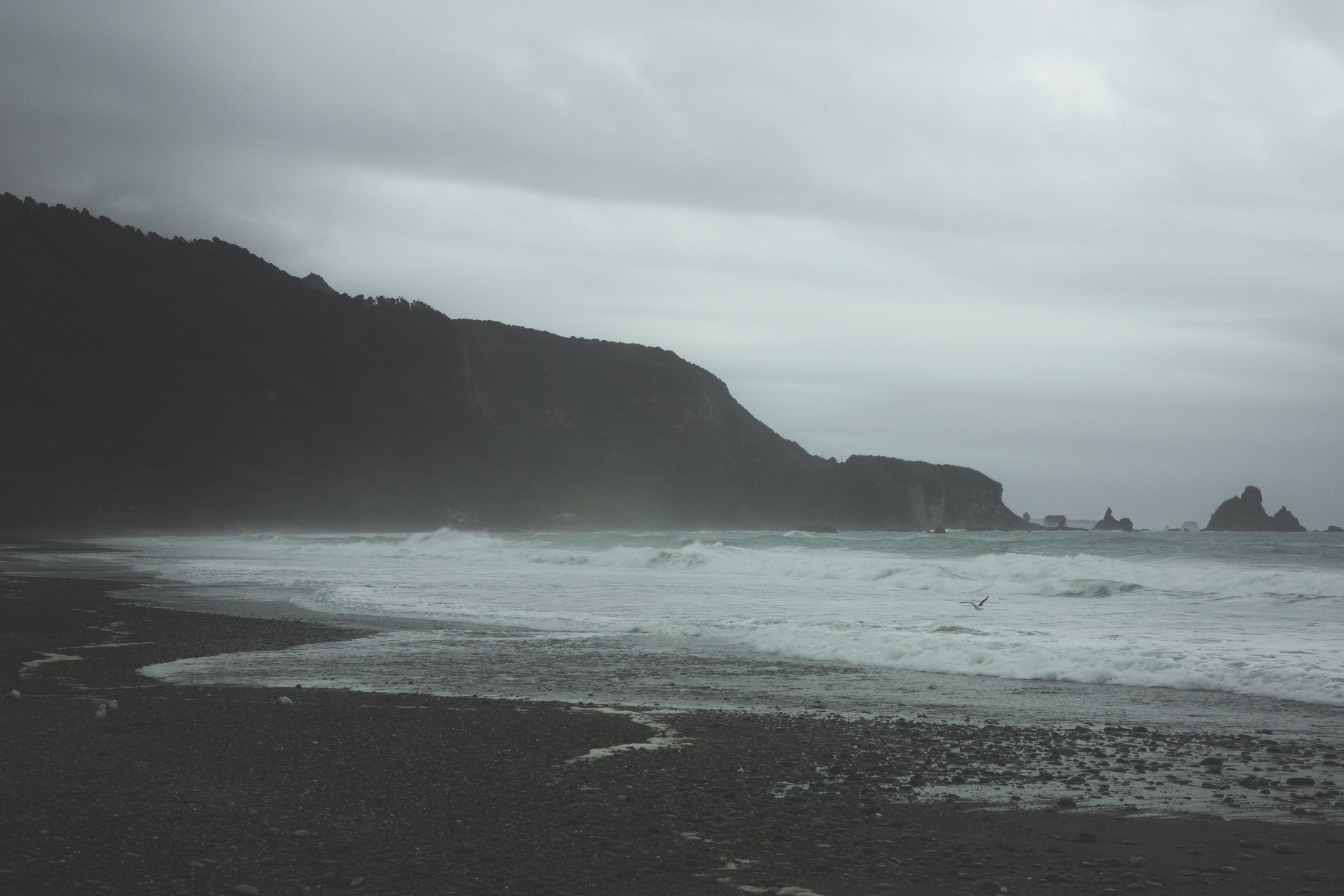 IMG-7603.jpg