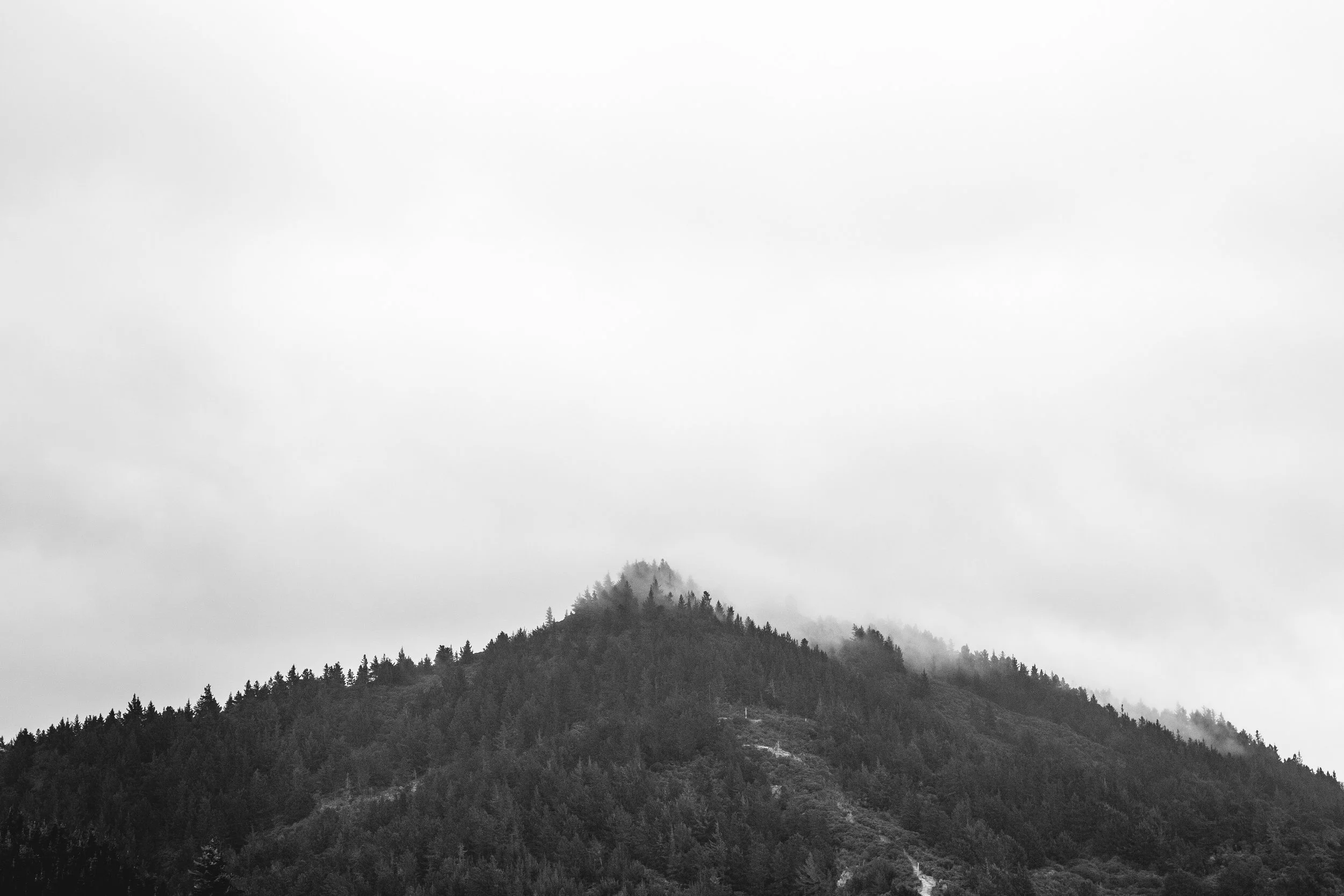 IMG-7003.jpg