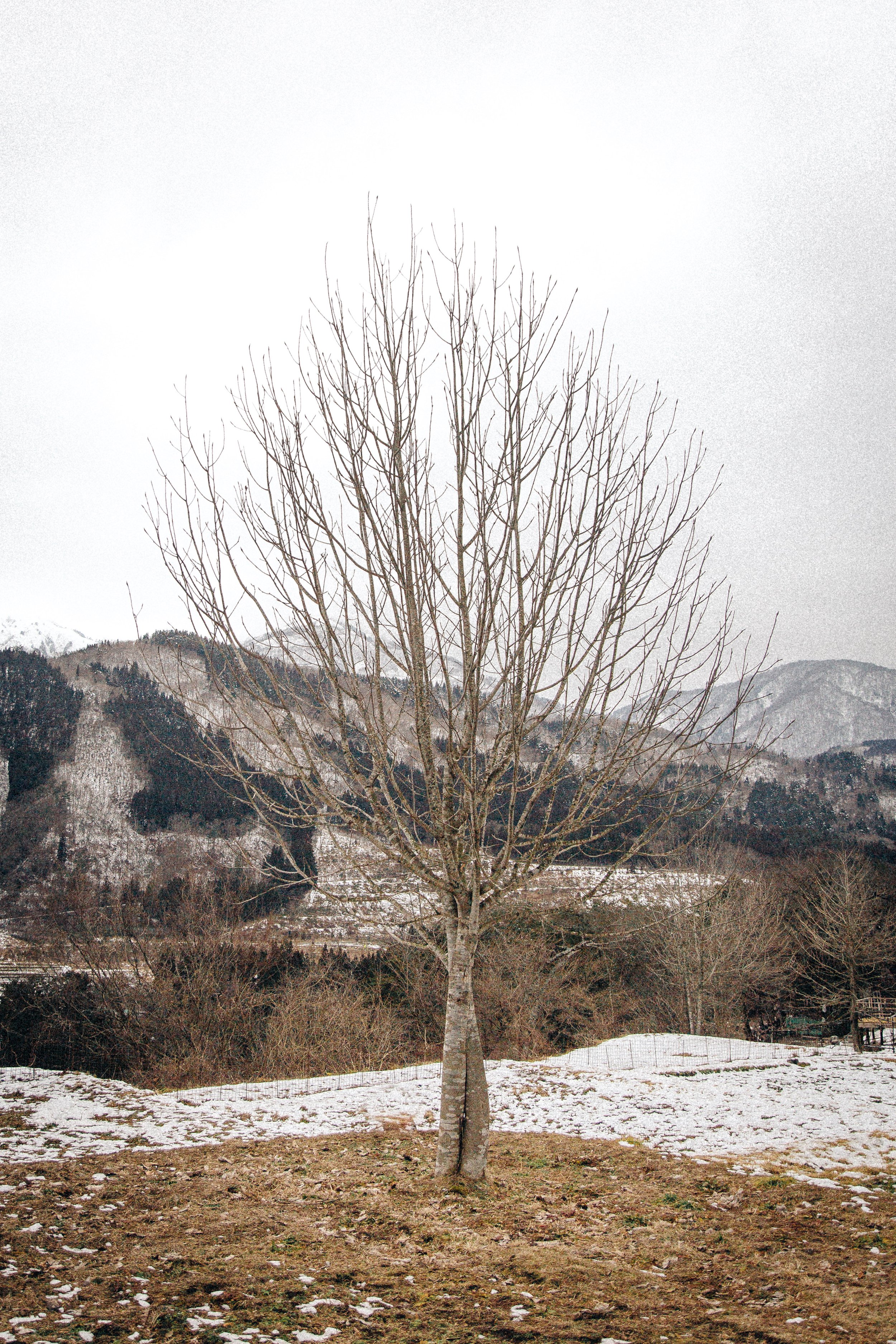 IMG-3157.jpg