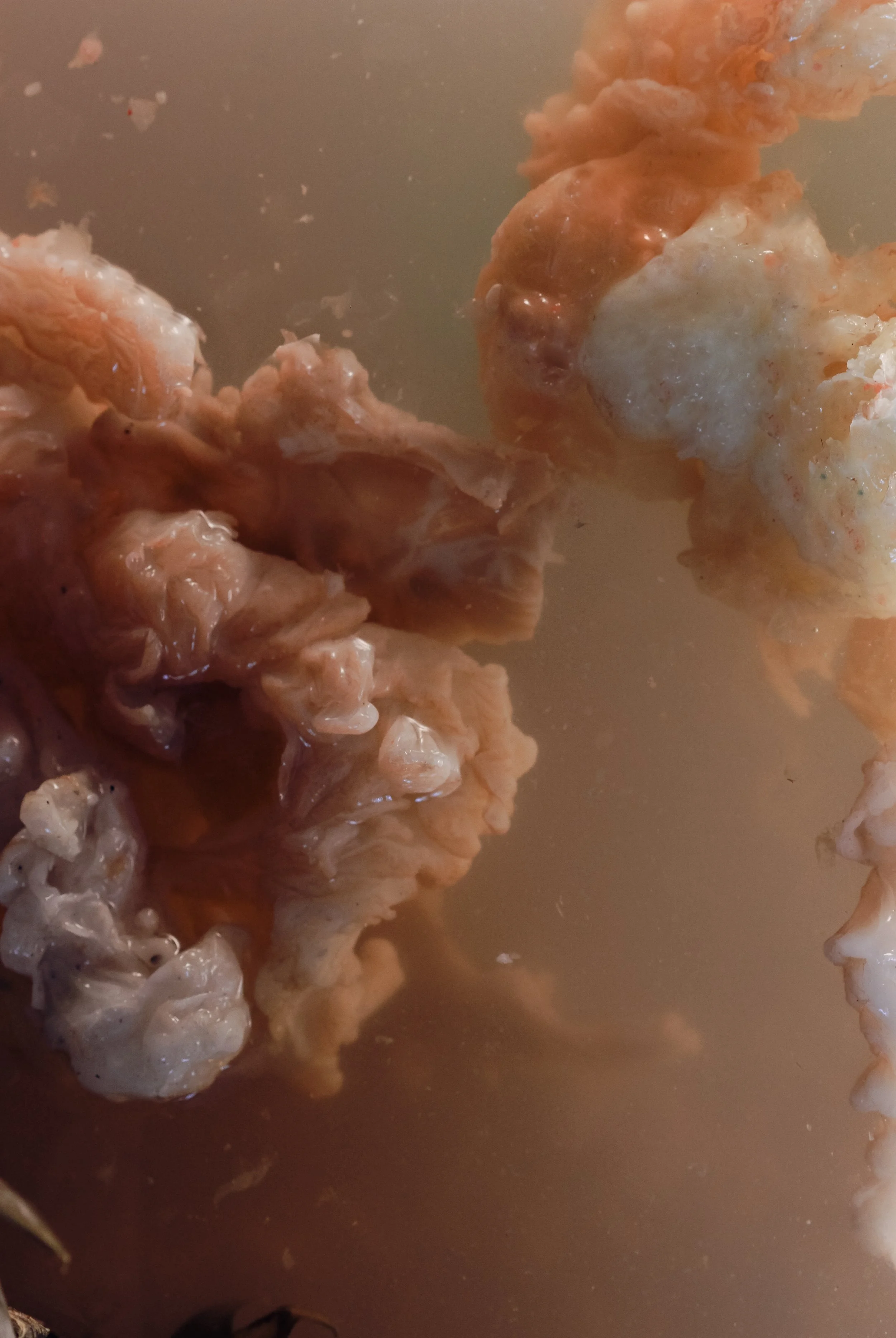 Might Turn Green Might Turn Real