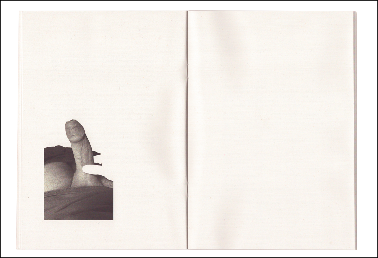SEXCULT SHOP DESIRE LOOP CHAPBOOK PRODUCT 5.png