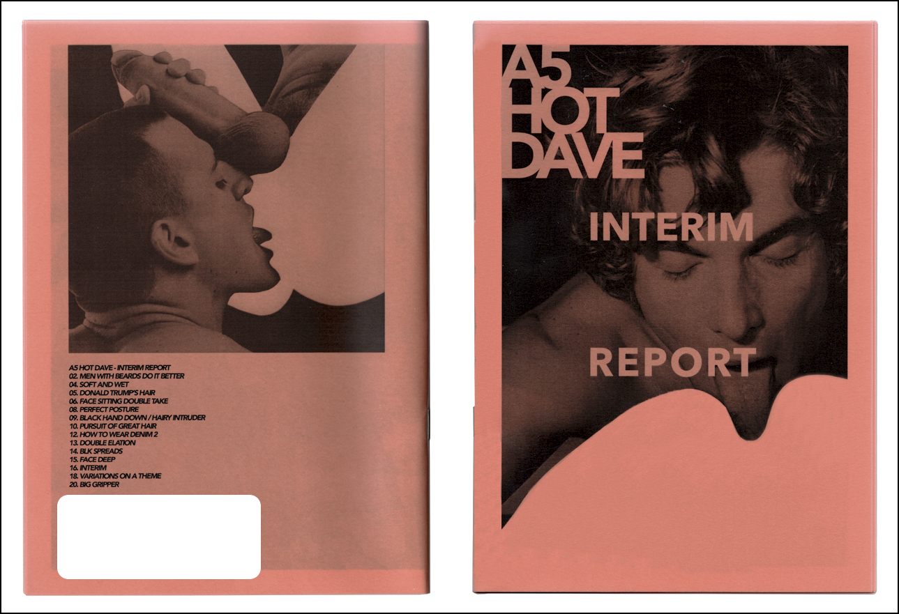 SEXCULT SHOP INTERIM REPORT ZINE PRODUCT COVERS.png