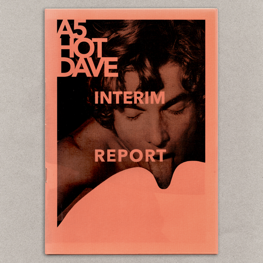 HOT DAVE INTERIM REPORT