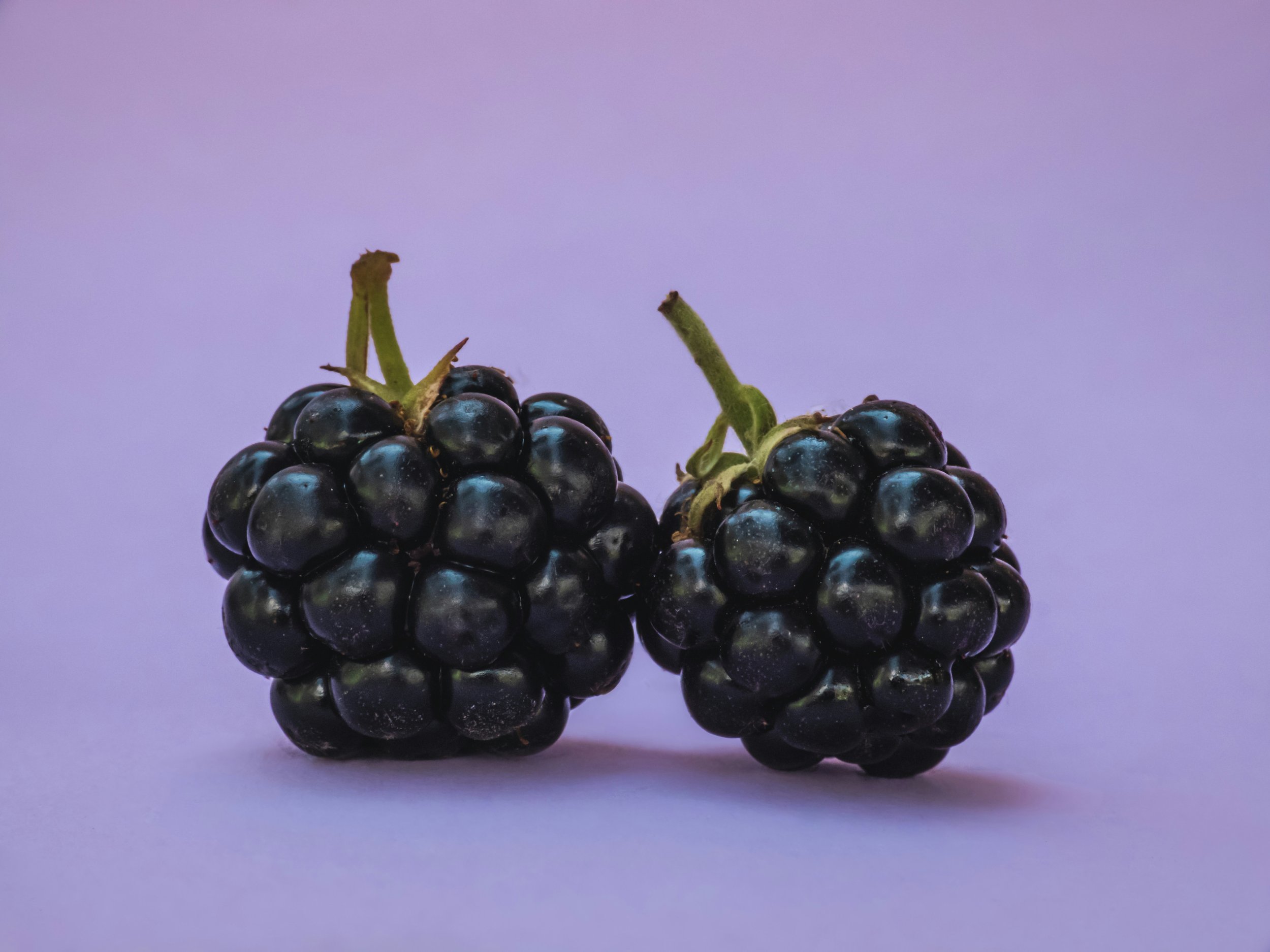 andrea-hajdu-mlbjZzxg3_g-unsplash.jpeg
