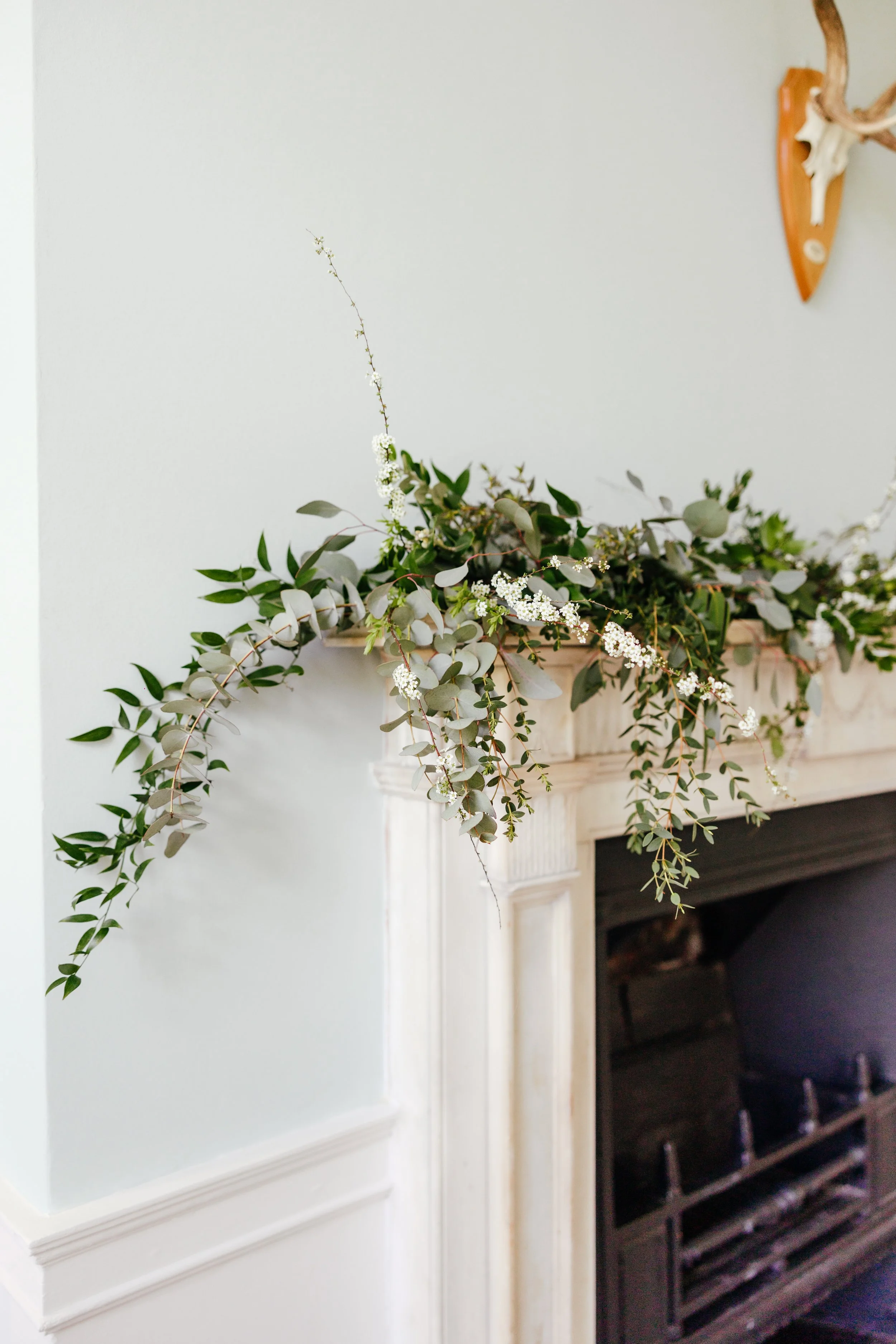 Credit: Kirsty MacKenzie