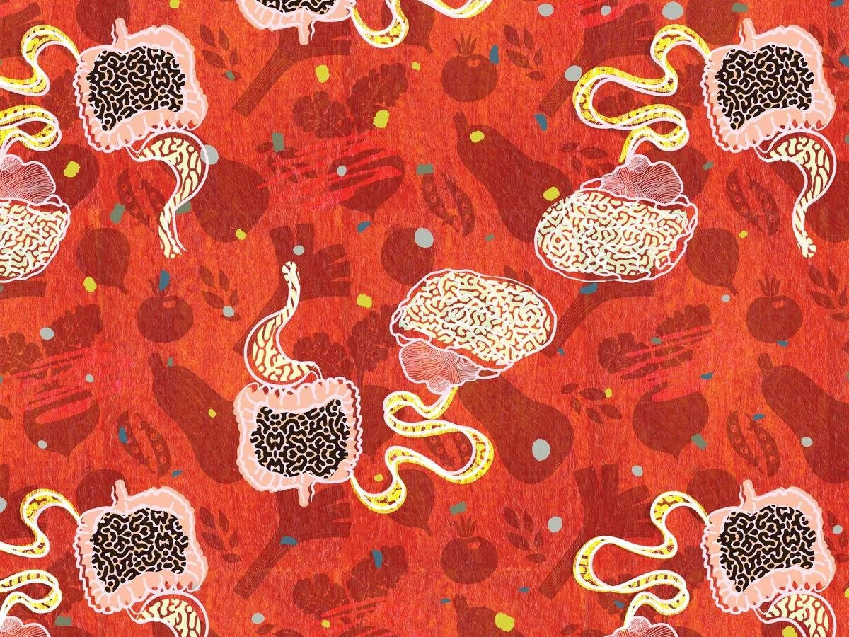 Leaky Gut, Leaky Mind; How Our Neurology Suffers When Our Microbiome Does.