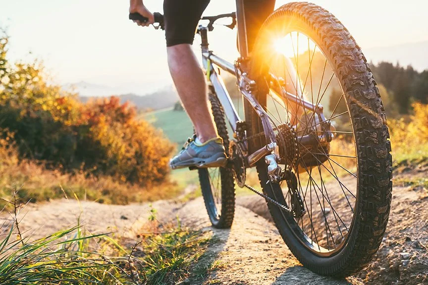 The Investing Cycle