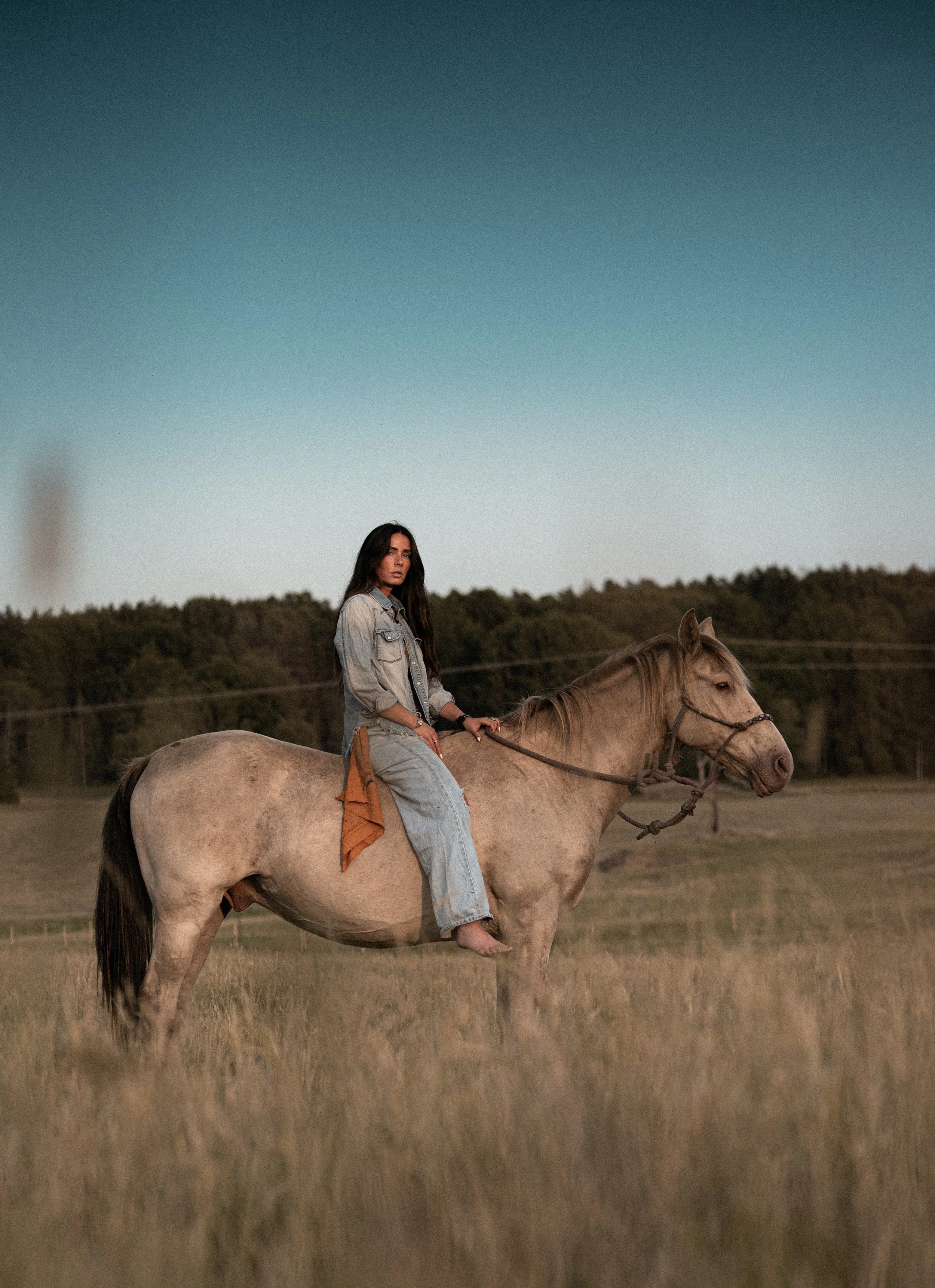 Photo_Per Askergren_gypsy2.jpg