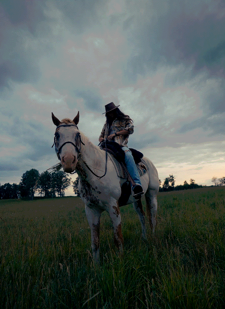 film2_170mGb copy.gif