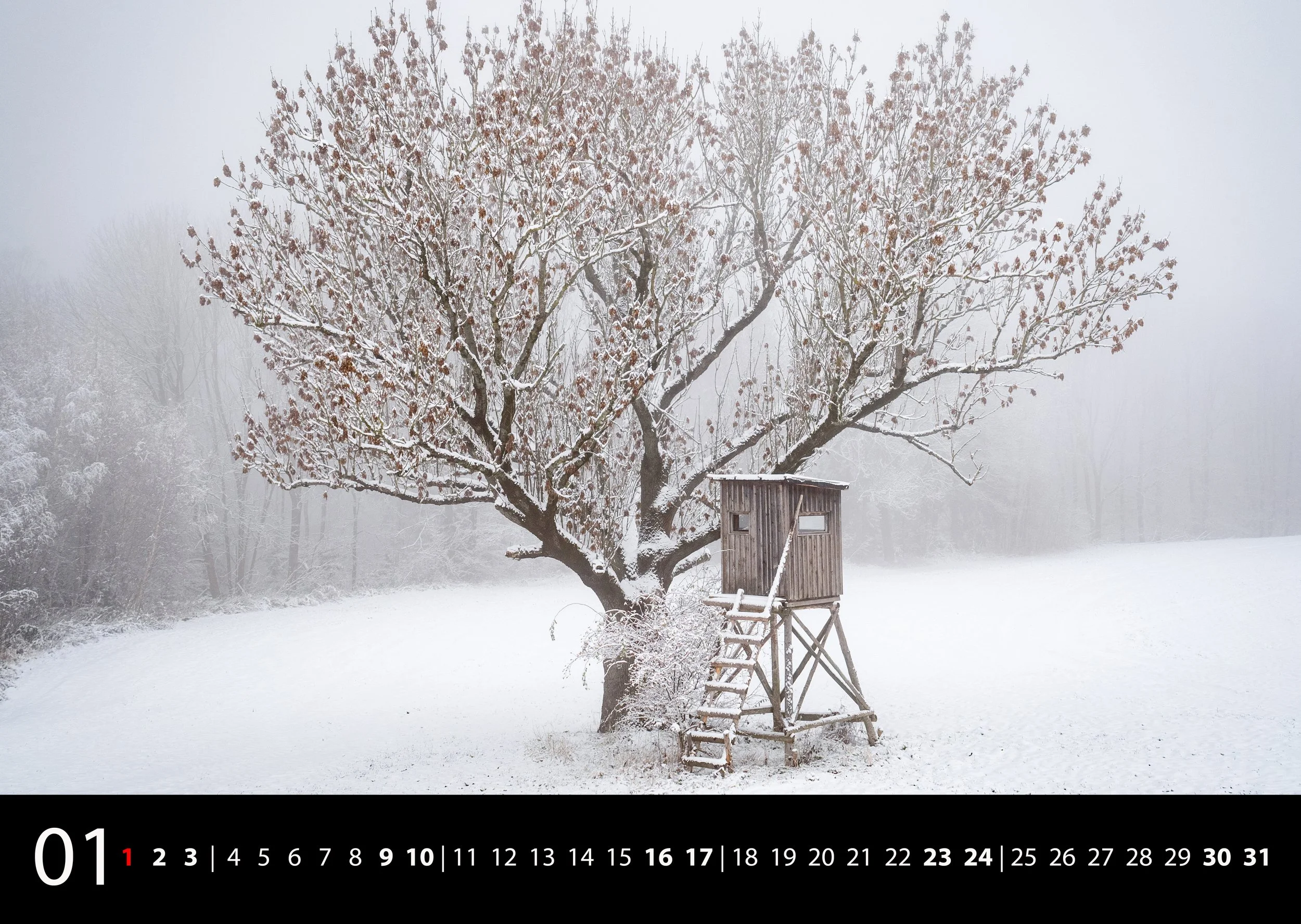 02 - Januar.jpg
