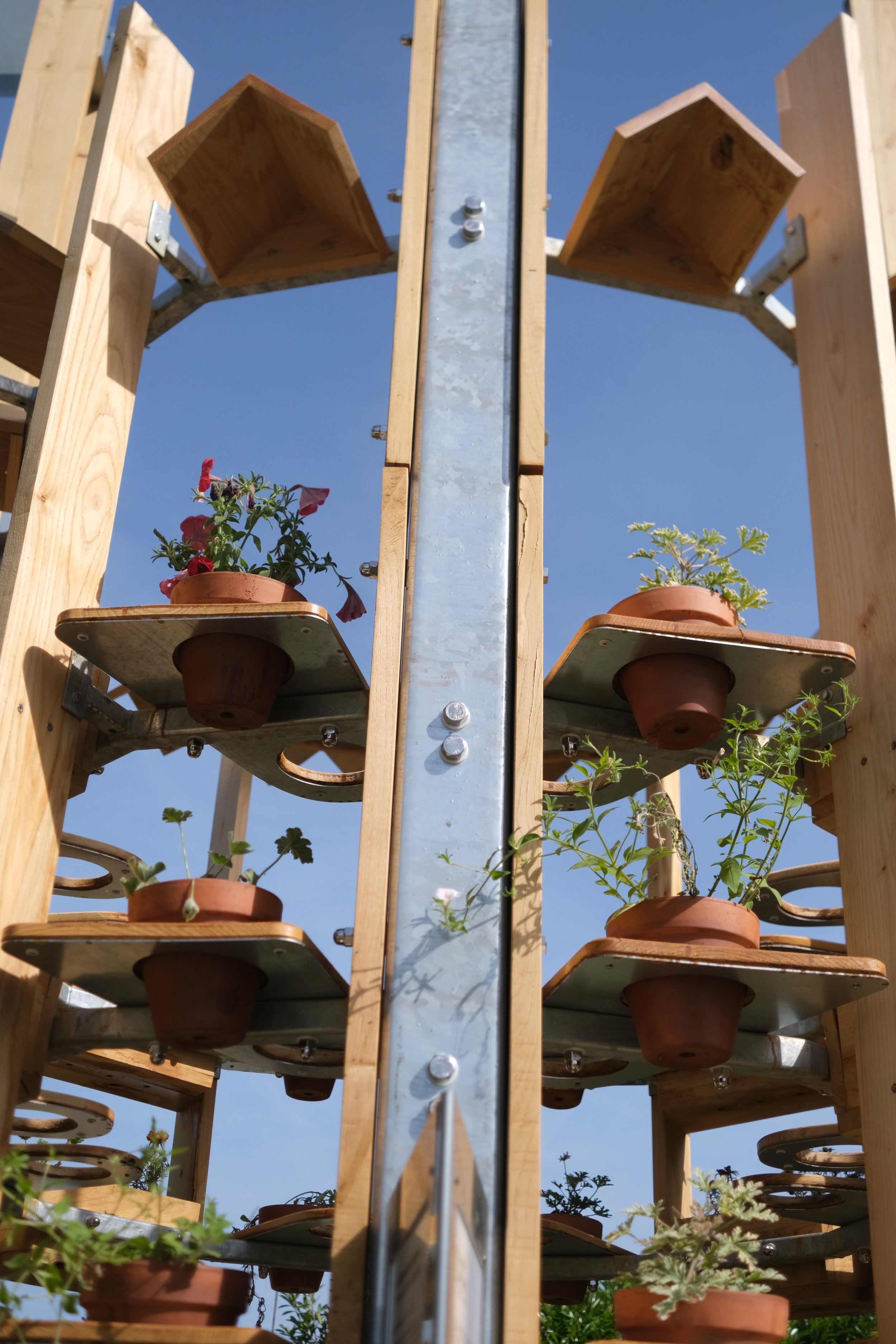 DSCF8348.JPG