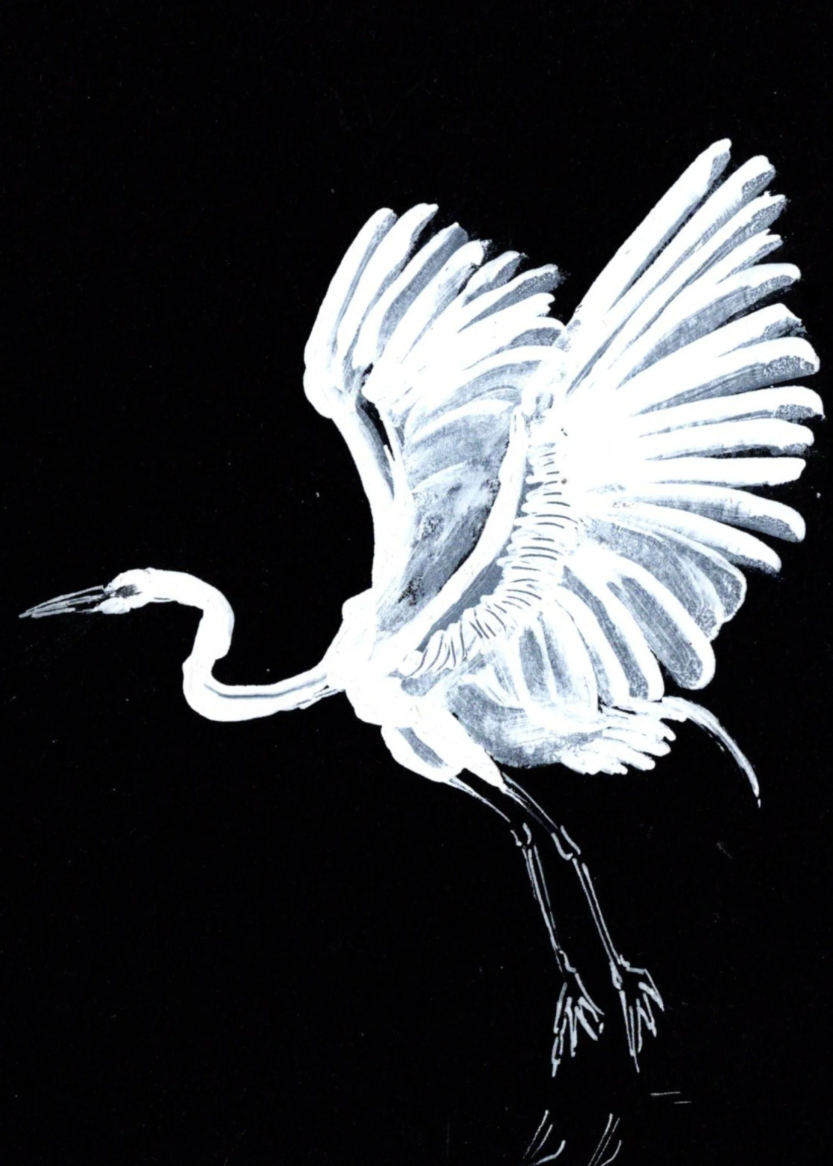 AD PIANO X illus _MEP 0641.jpg