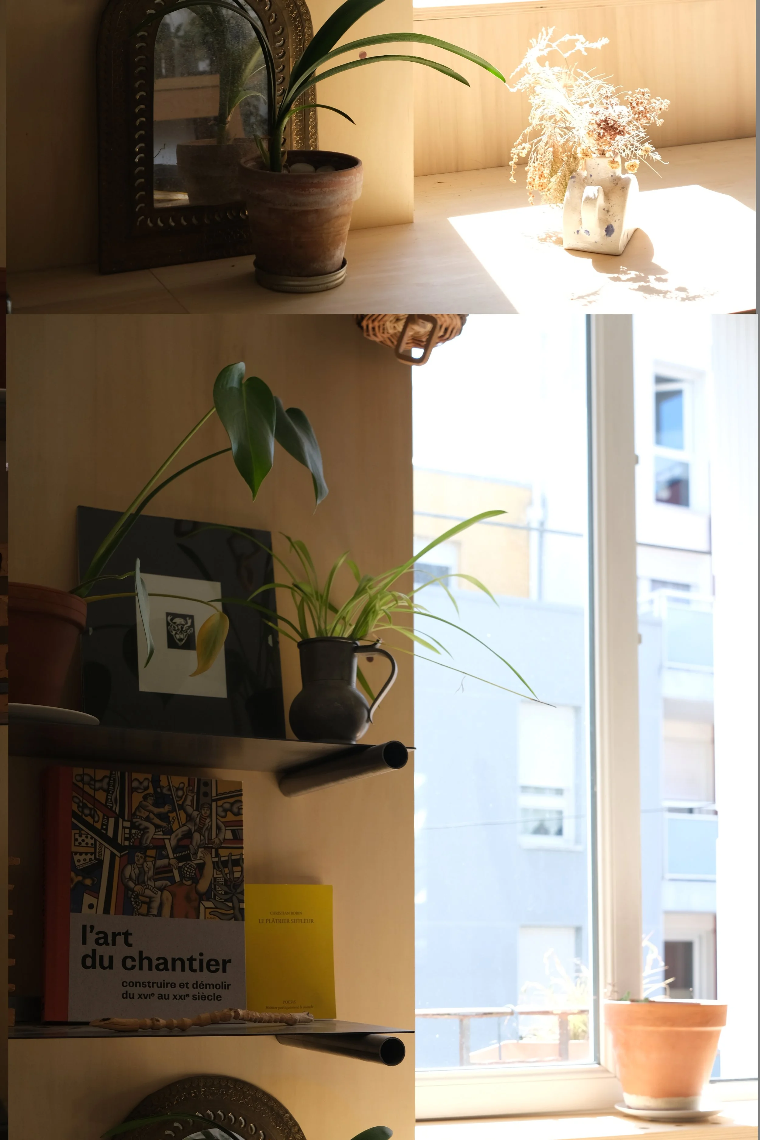 DSCF9050.JPG