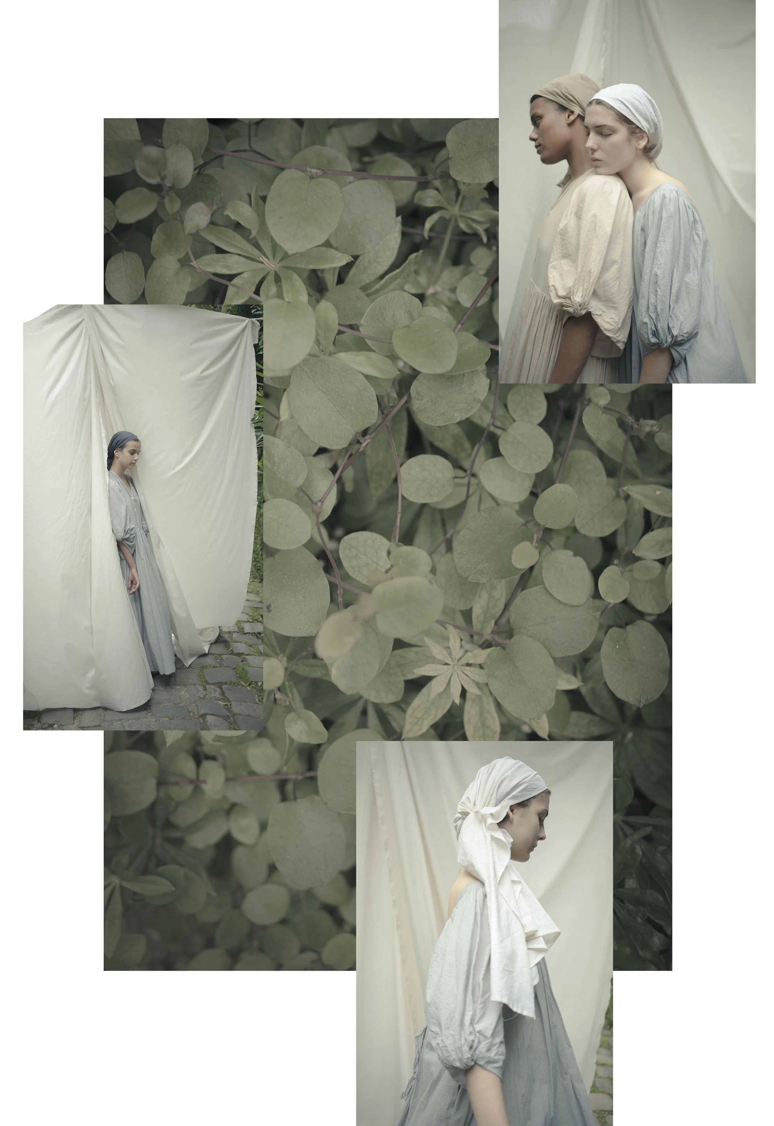 planches website 4.jpg