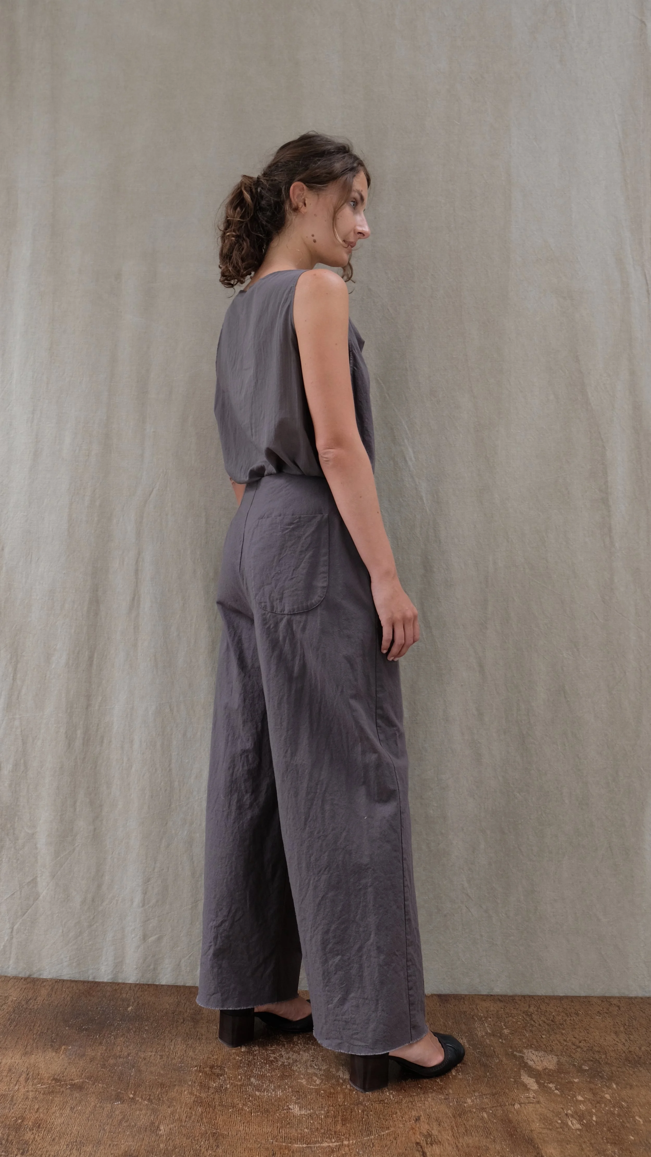 Paon grey  Pollen greyDSCF5781.JPG