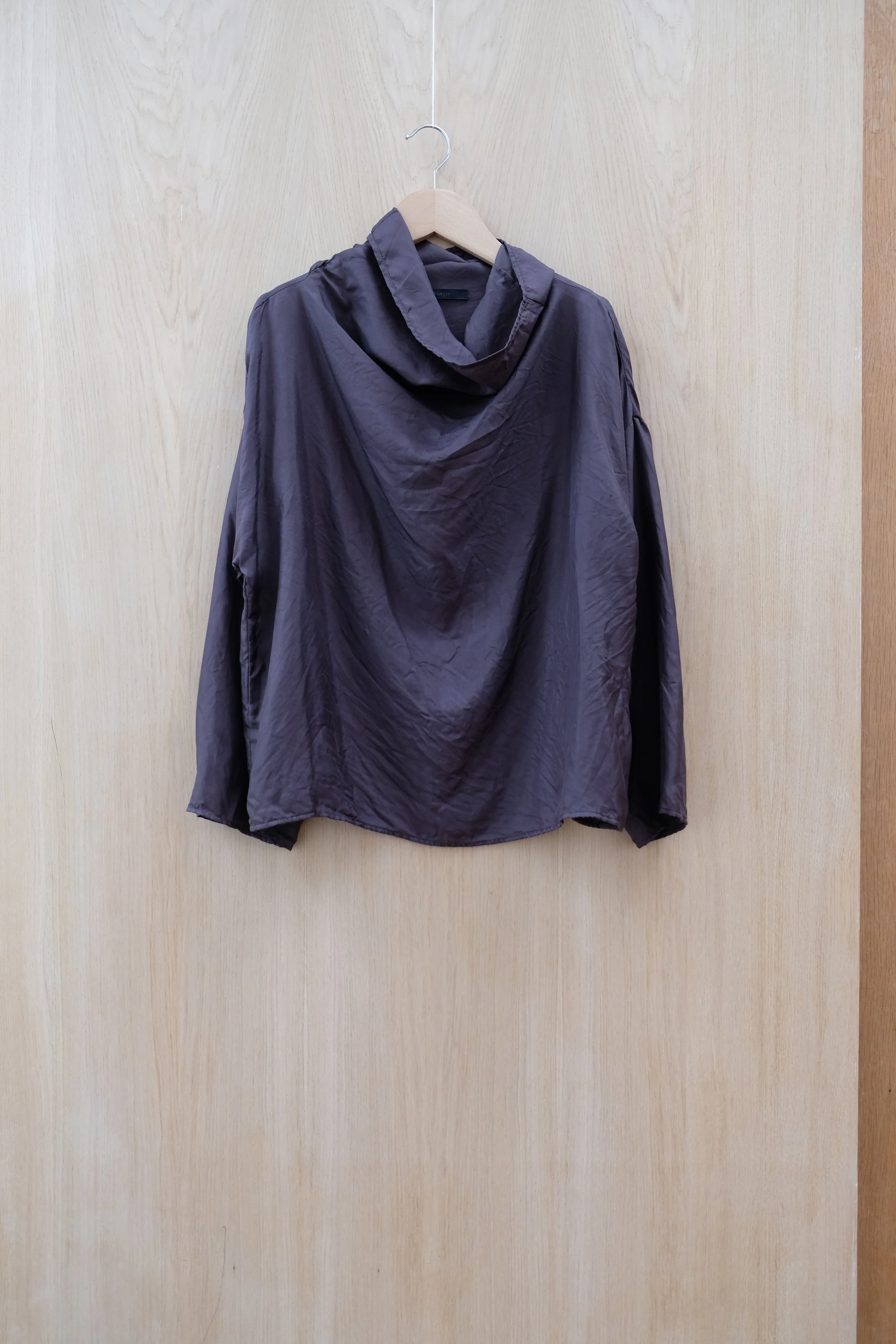 REVE carbonDSCF1040.jpg