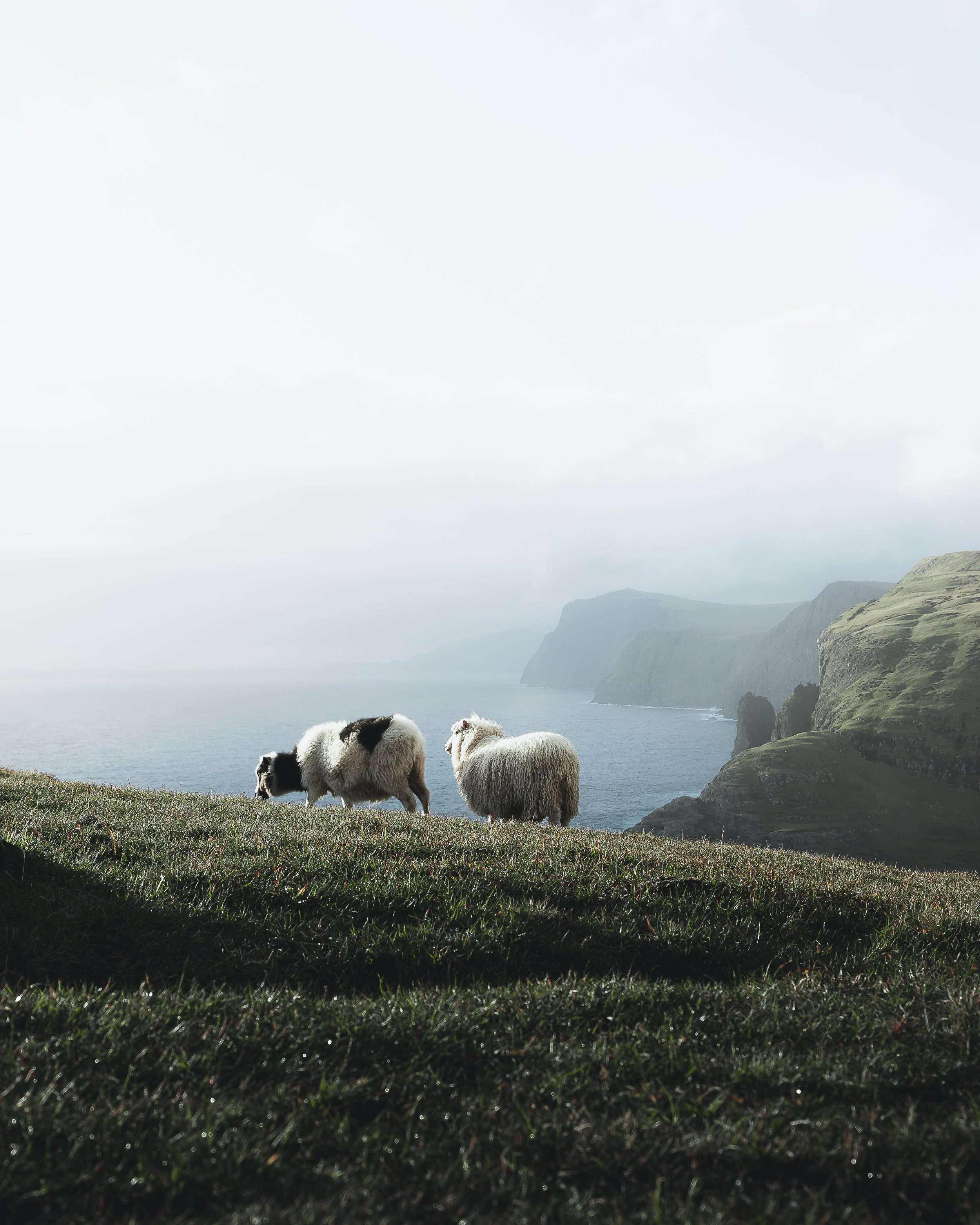 FAROE-11.jpg