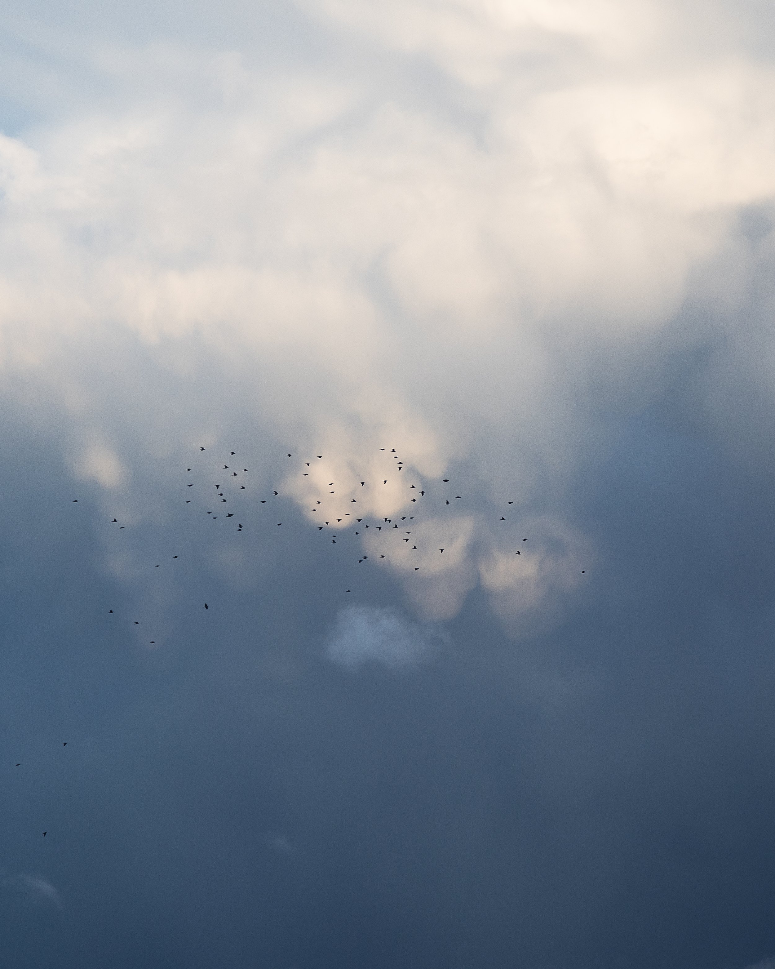 Luxembourgish Skies