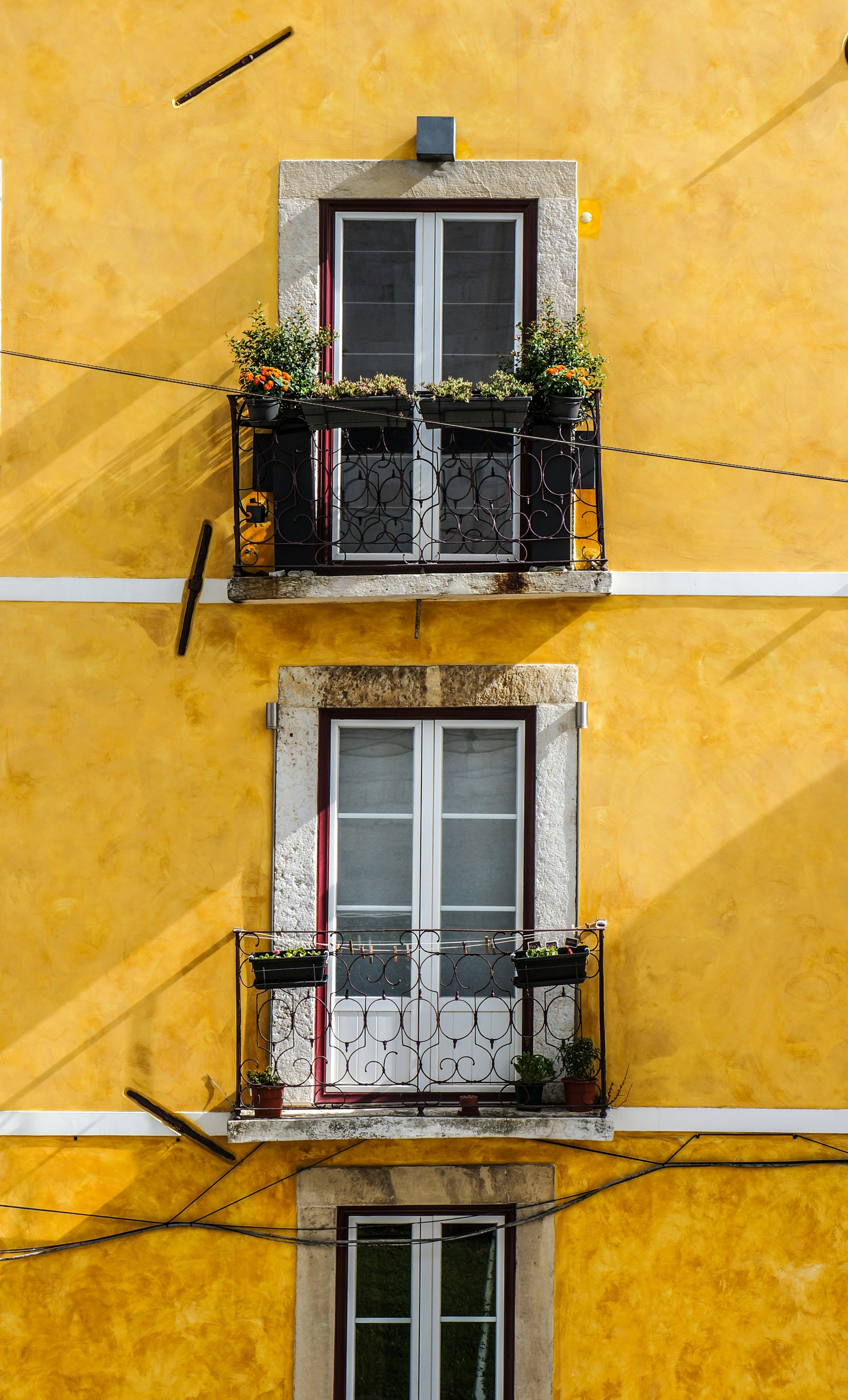 lili-popper-hq8s4zjhj3I-unsplash.jpg