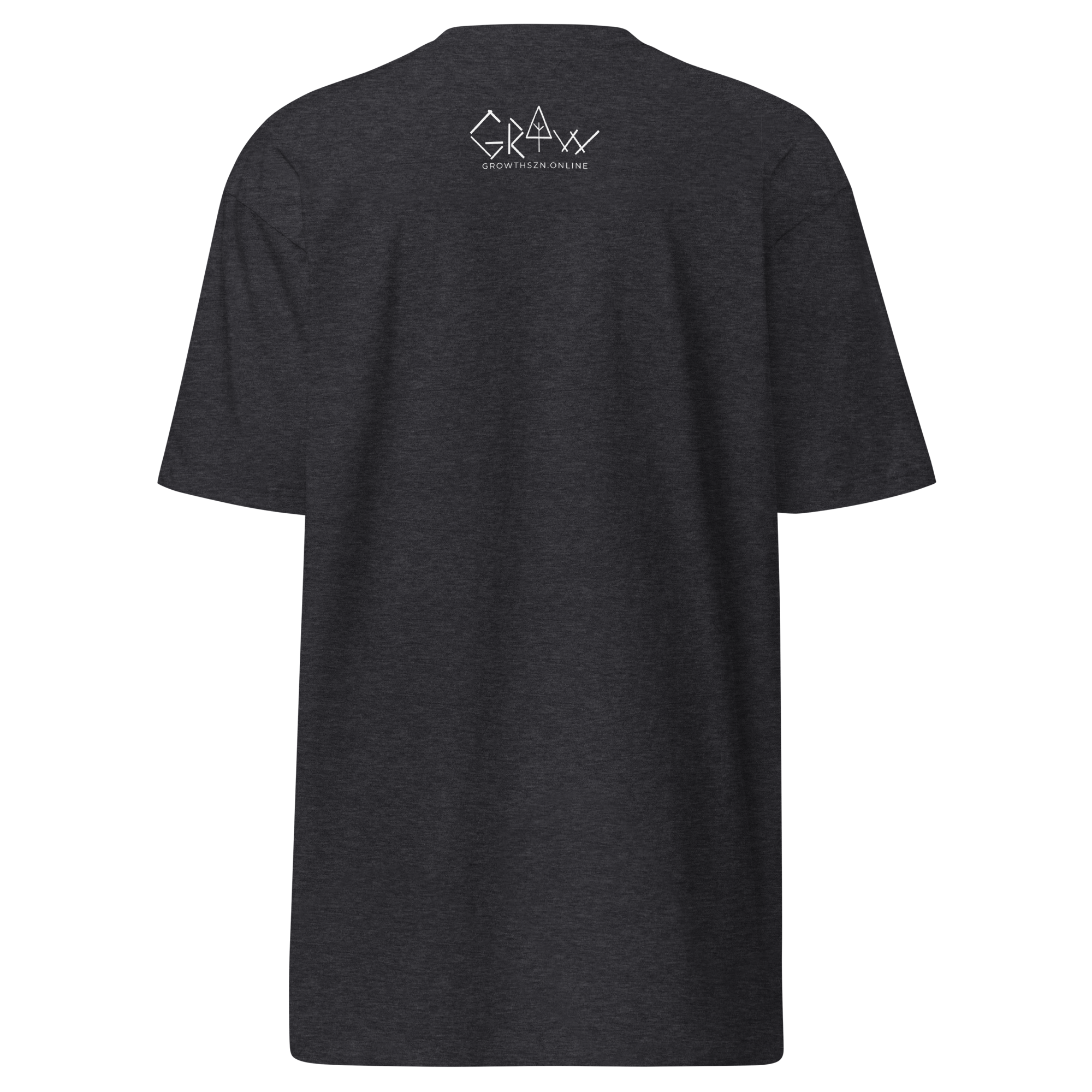 mens-premium-heavyweight-tee-charcoal-heather-back-66ad94330e6f1.png