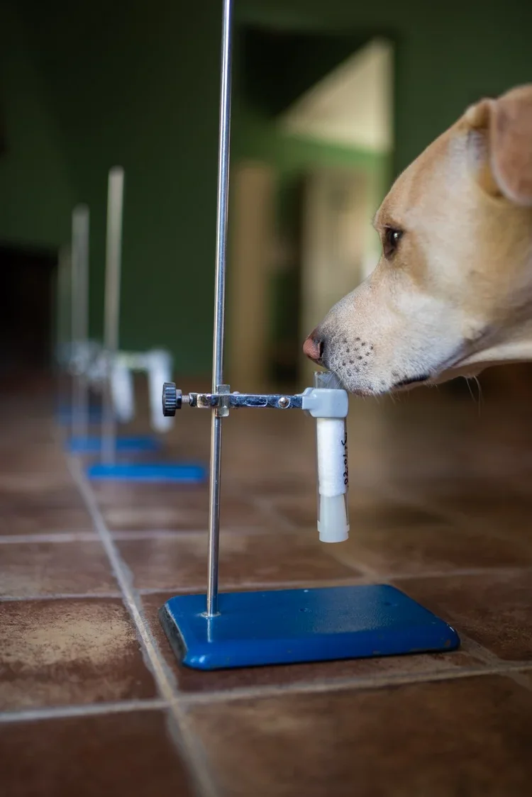 Classes individuals i de grup