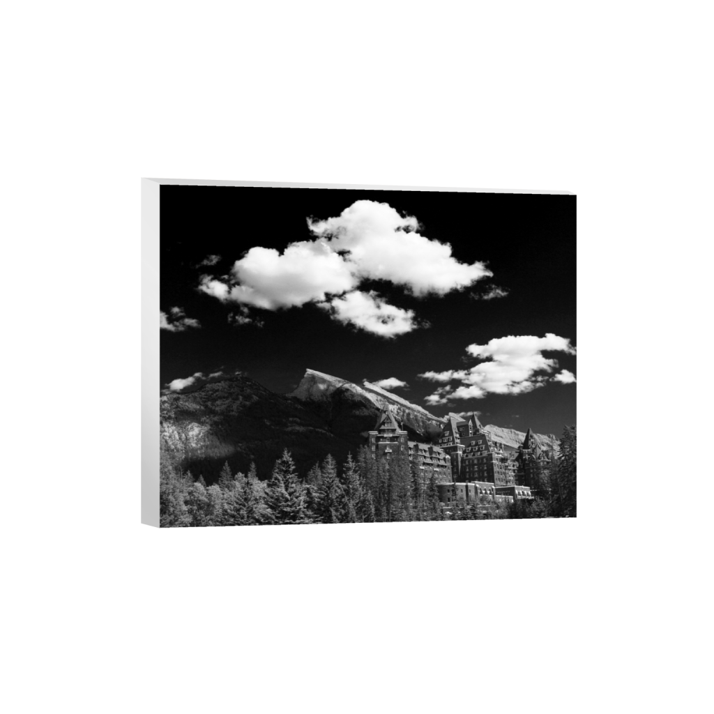 canvas_rectangle4_5_432_0_4320_3456_0_false_ffffff_0_0.png