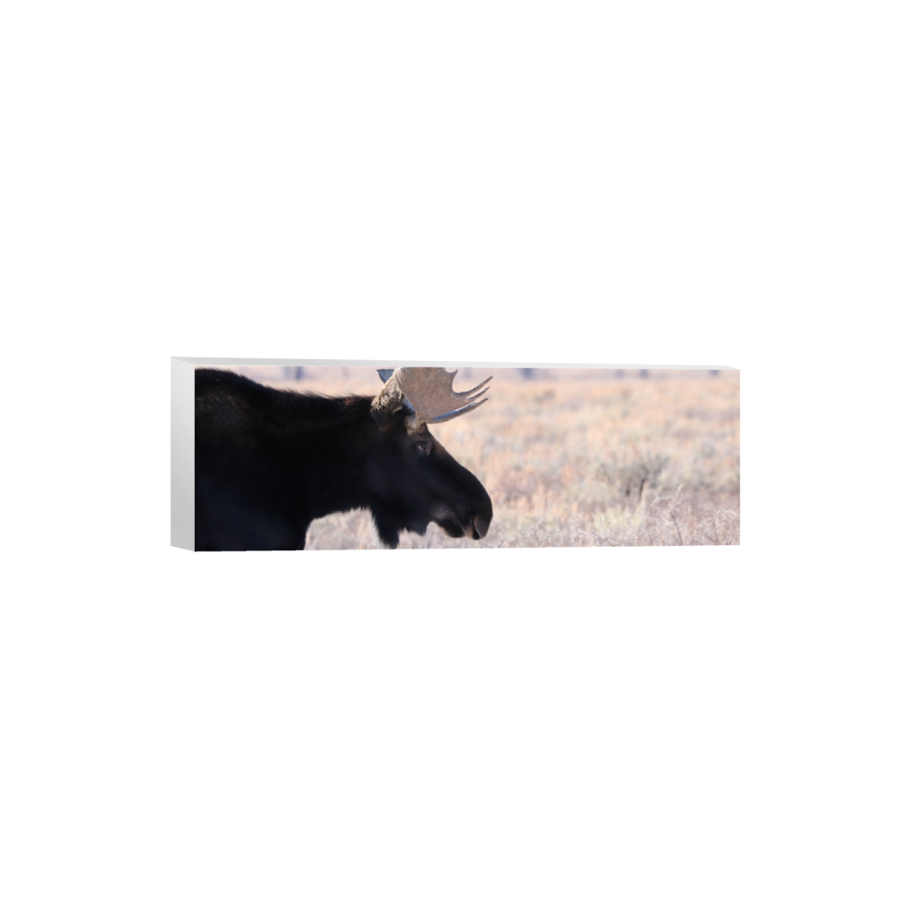 ptq_7_2_0_840_6000_2000_0_false_ffffff_0_0_.png